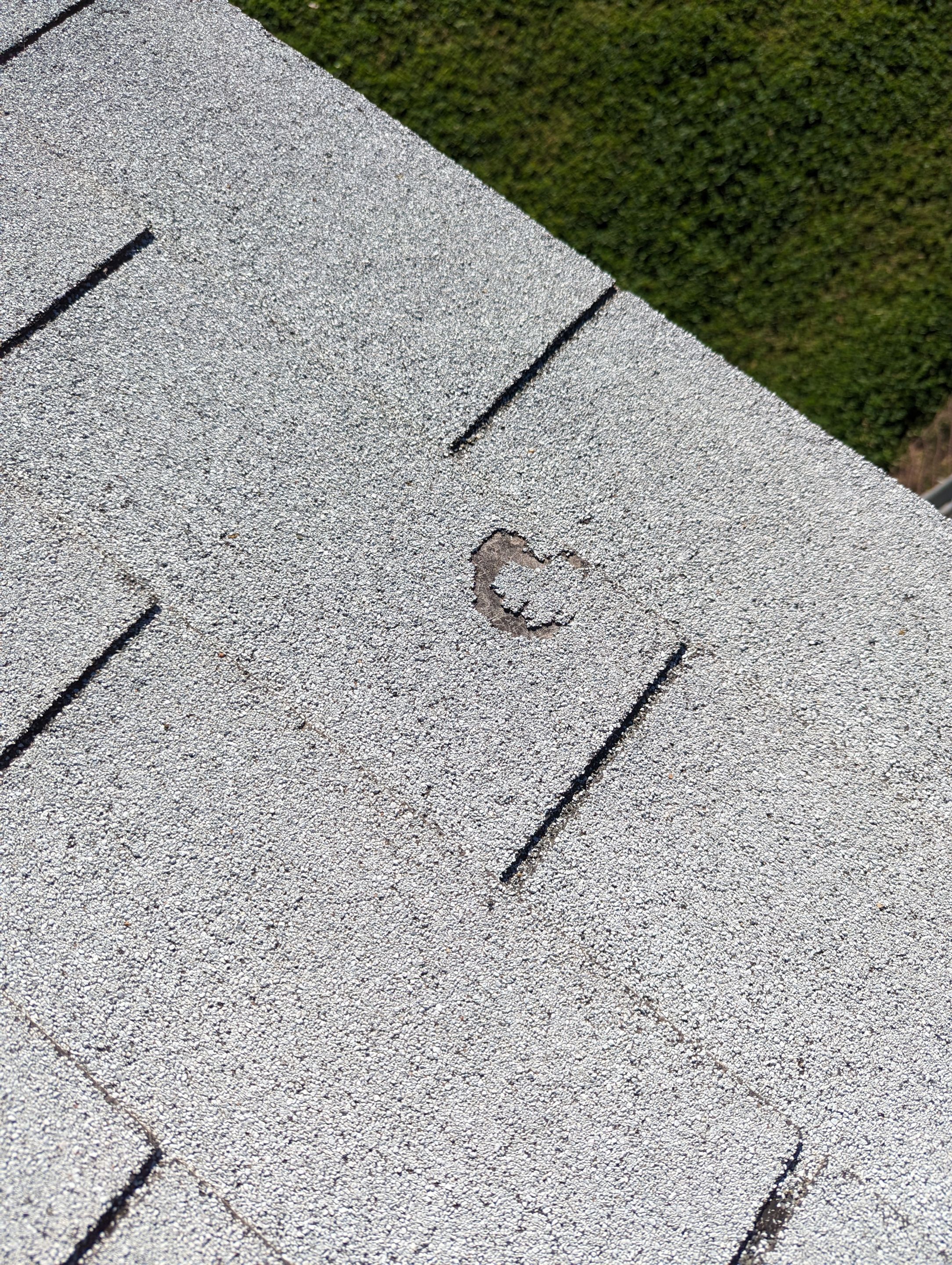 Bruce's Full Re-Roof & Shed by All Storm Roofing & Construction