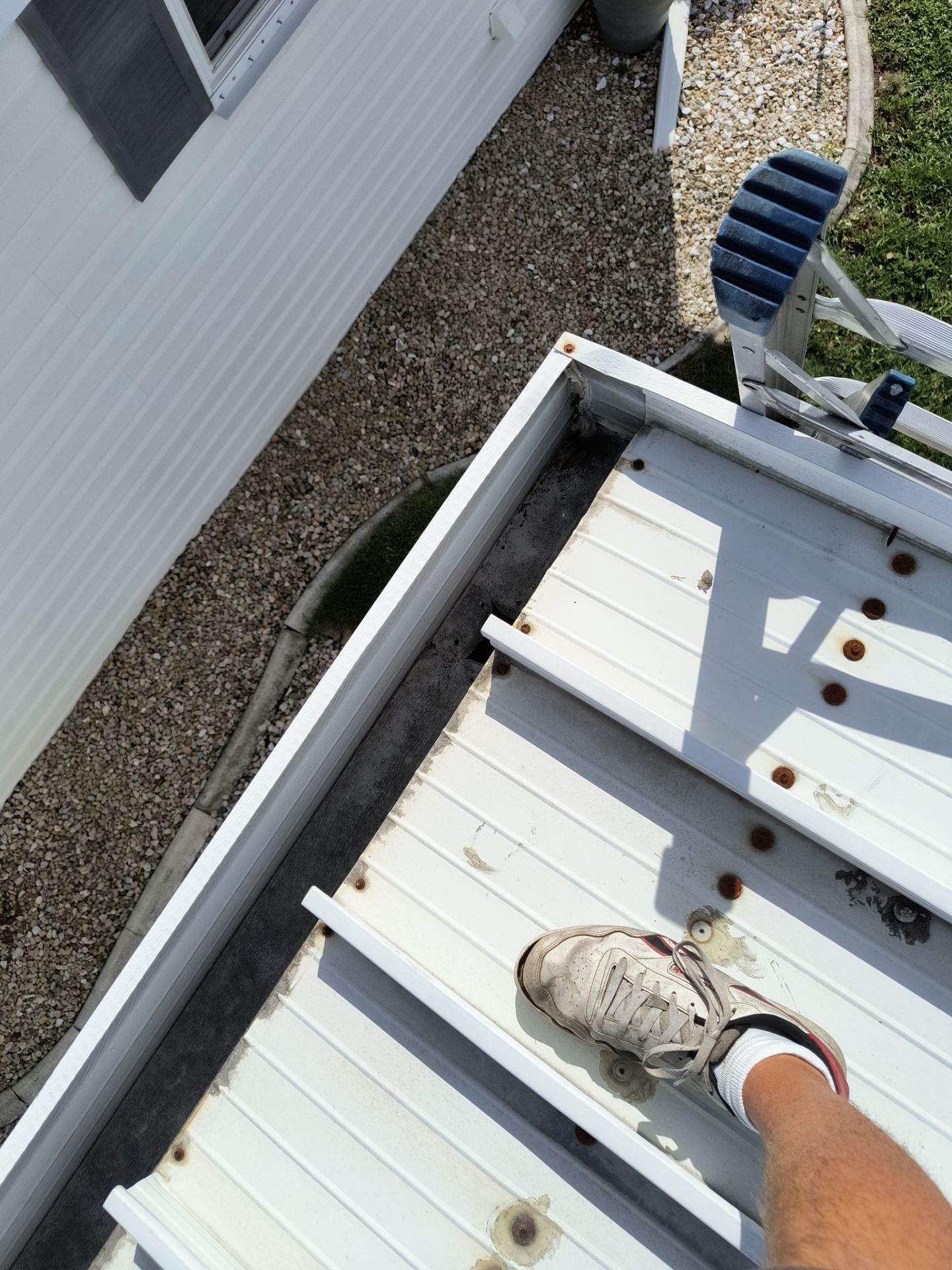 Professional Gutter Cleaning in Venice FL by Gutter Professors