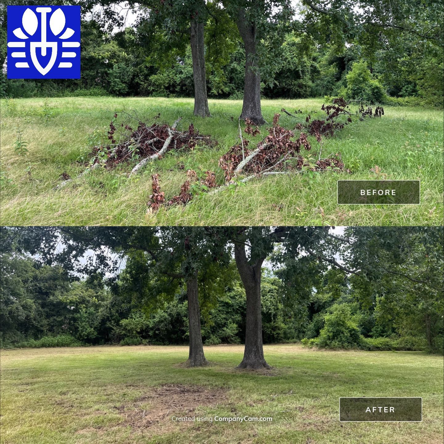 ONE TIME CUT & LANDSCAPE CLEAN UP by CutScape, LLC.