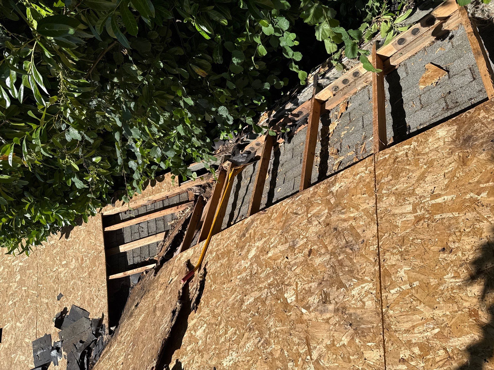 Seatac WA, Roof and Fence Replacement  by Proline Roofing & Restoration LLC