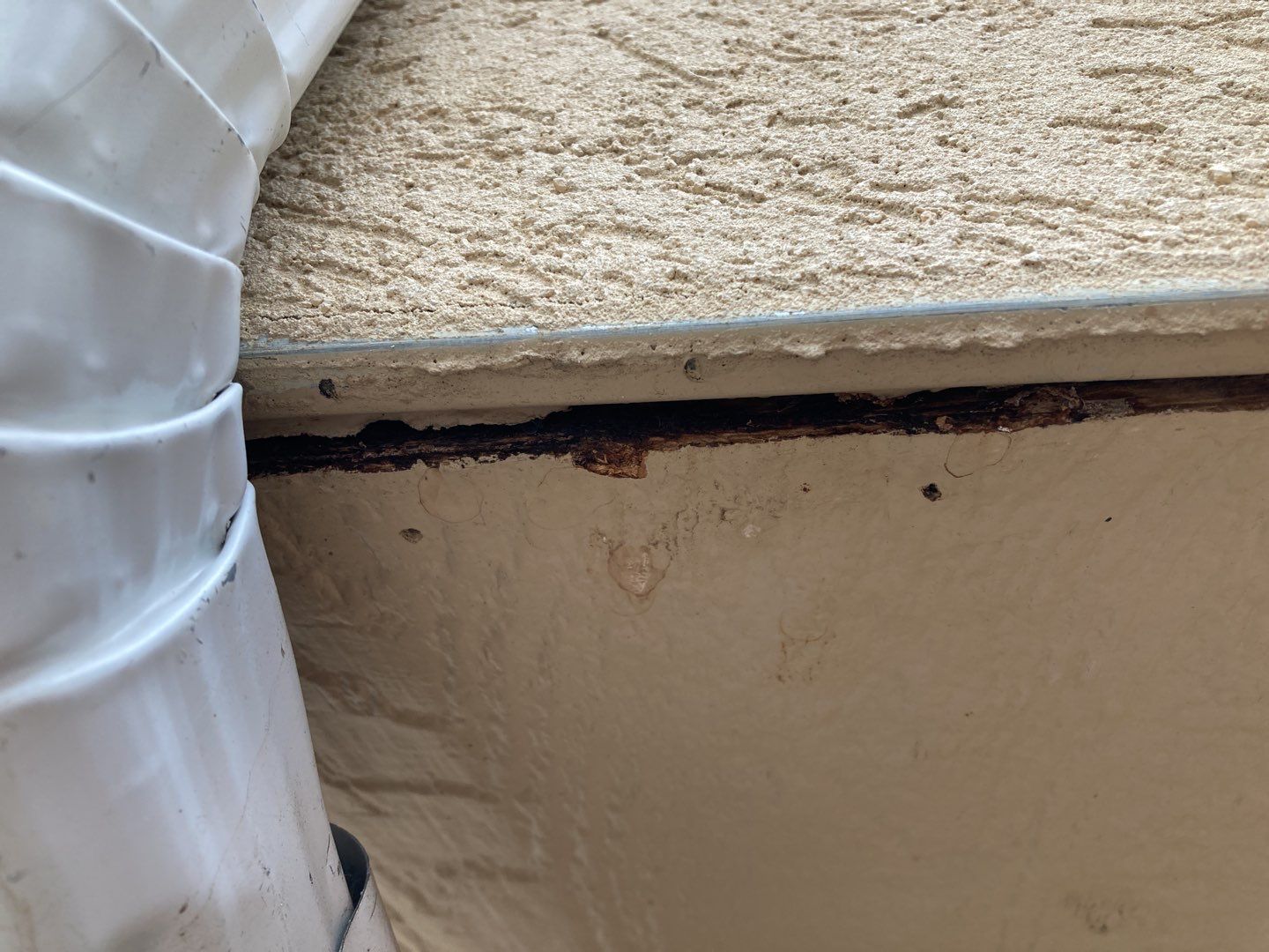 Mold Remediation in Bathroom by Accountable Home Services