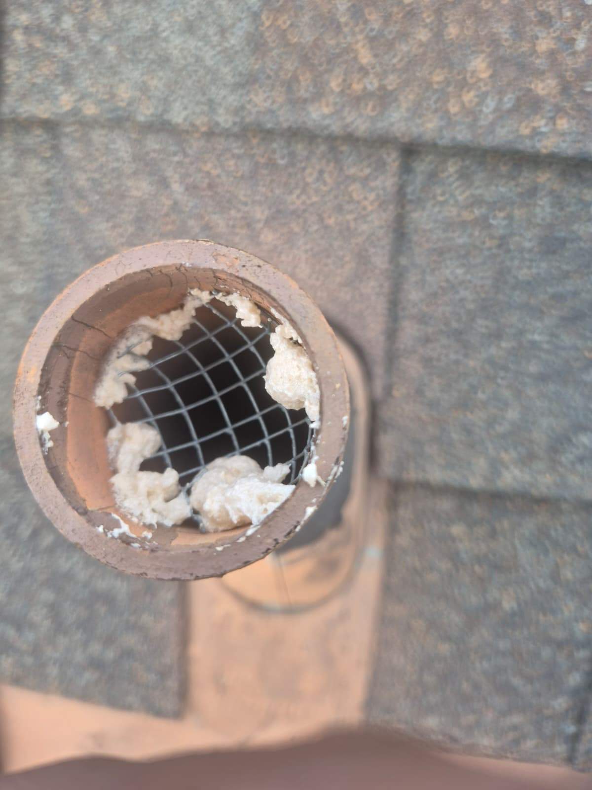 Project in Los Angeles by Advanced Attic Solutions