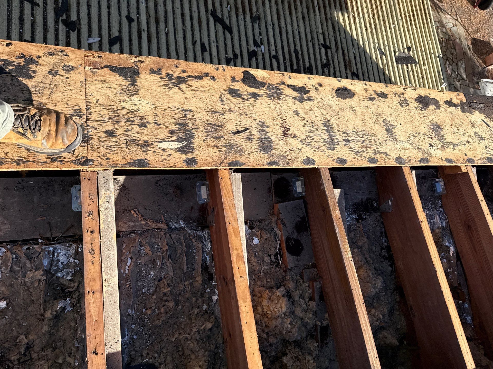 Project in St. Petersburg 33710 by Mitchell Roofing Company LLC
