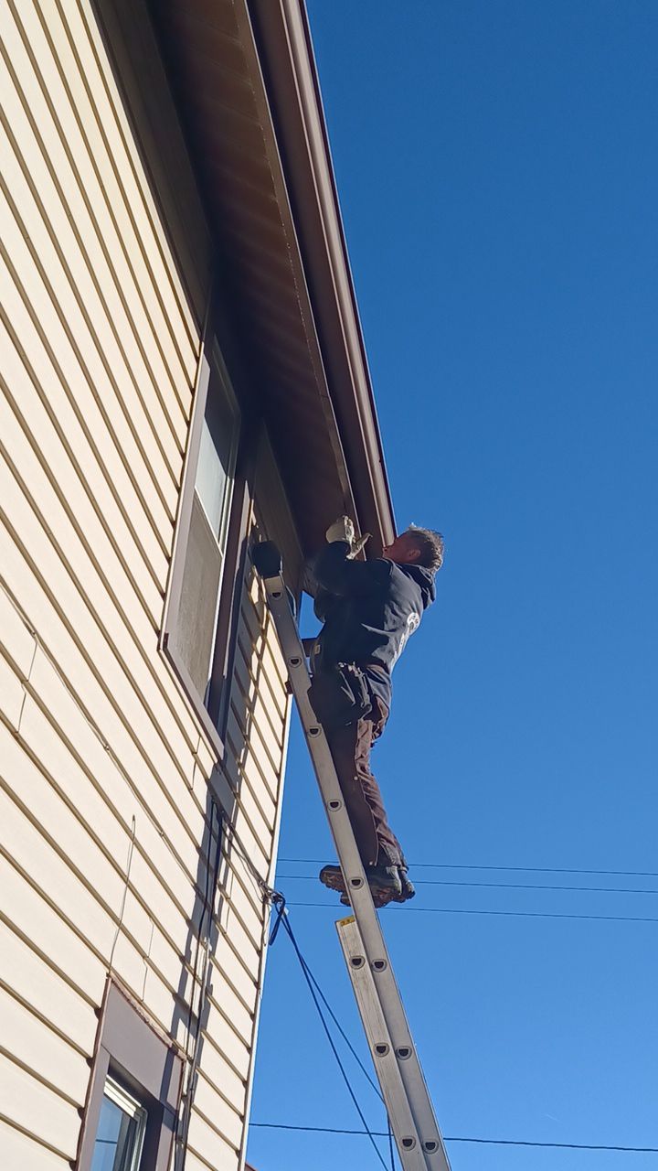 Fran Bush by Silver Leaf Contracting 