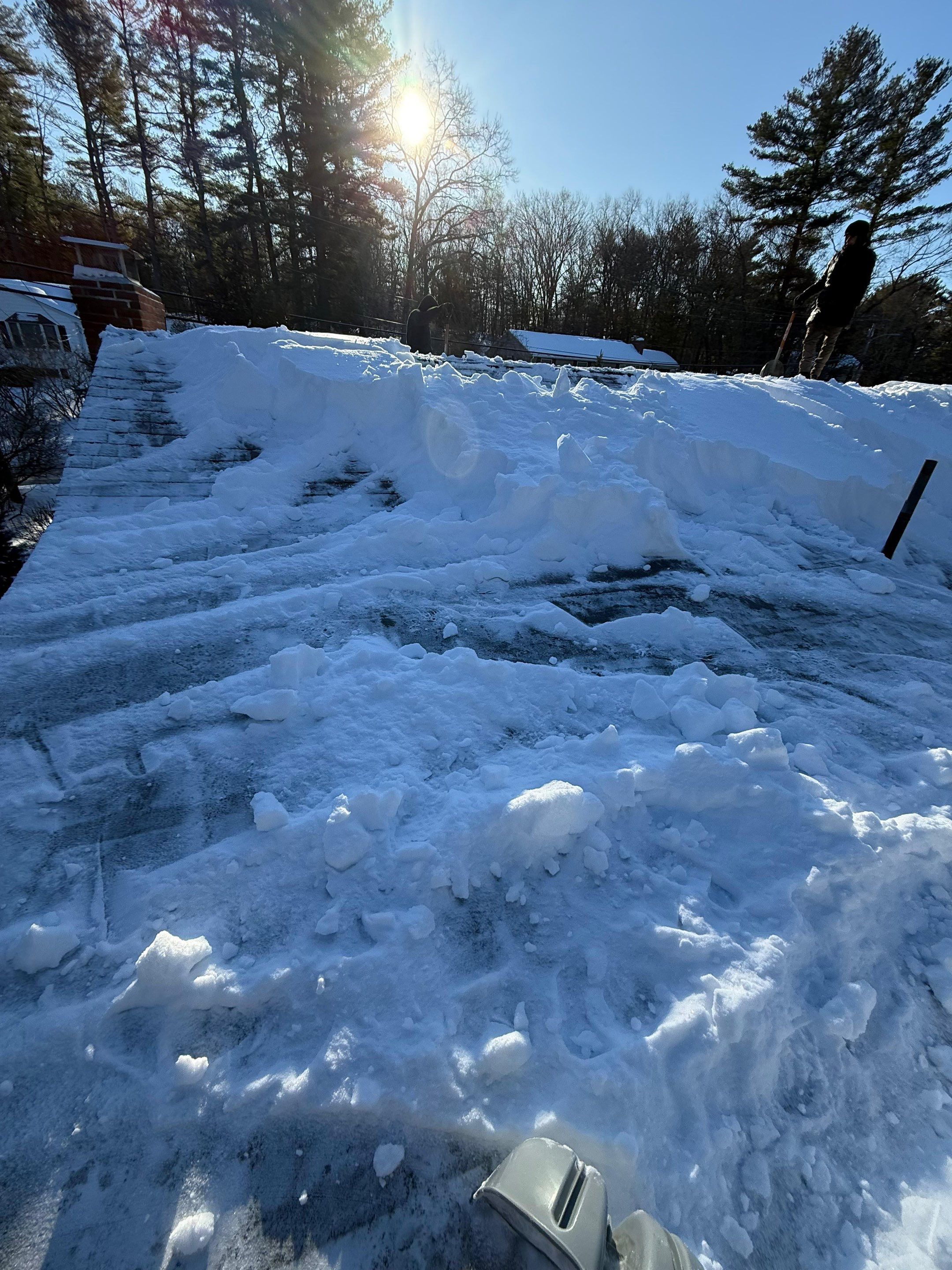 Sow Removal by Mighty Dog Roofing of Greater Middlesex County