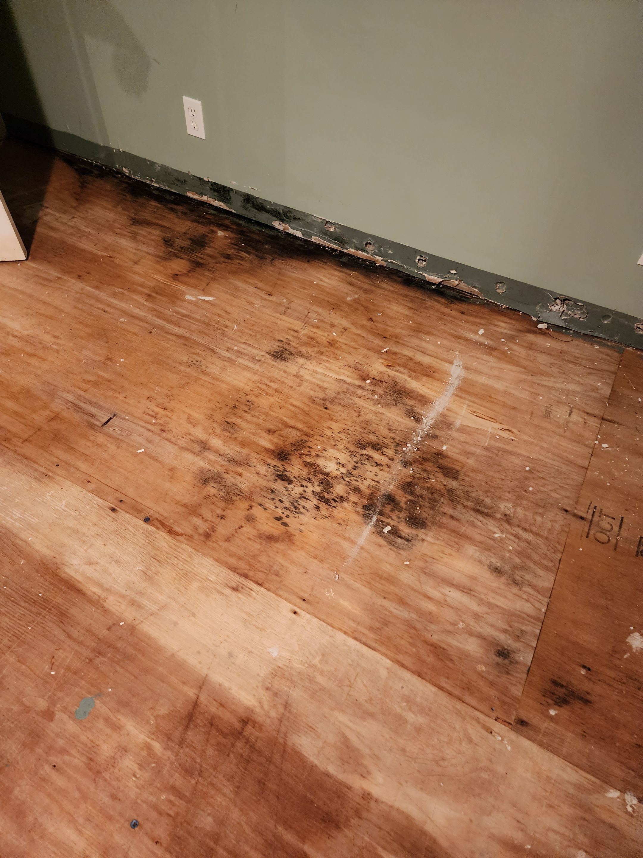 Basement finishing after flood by Eco-Nature Construction Inc.