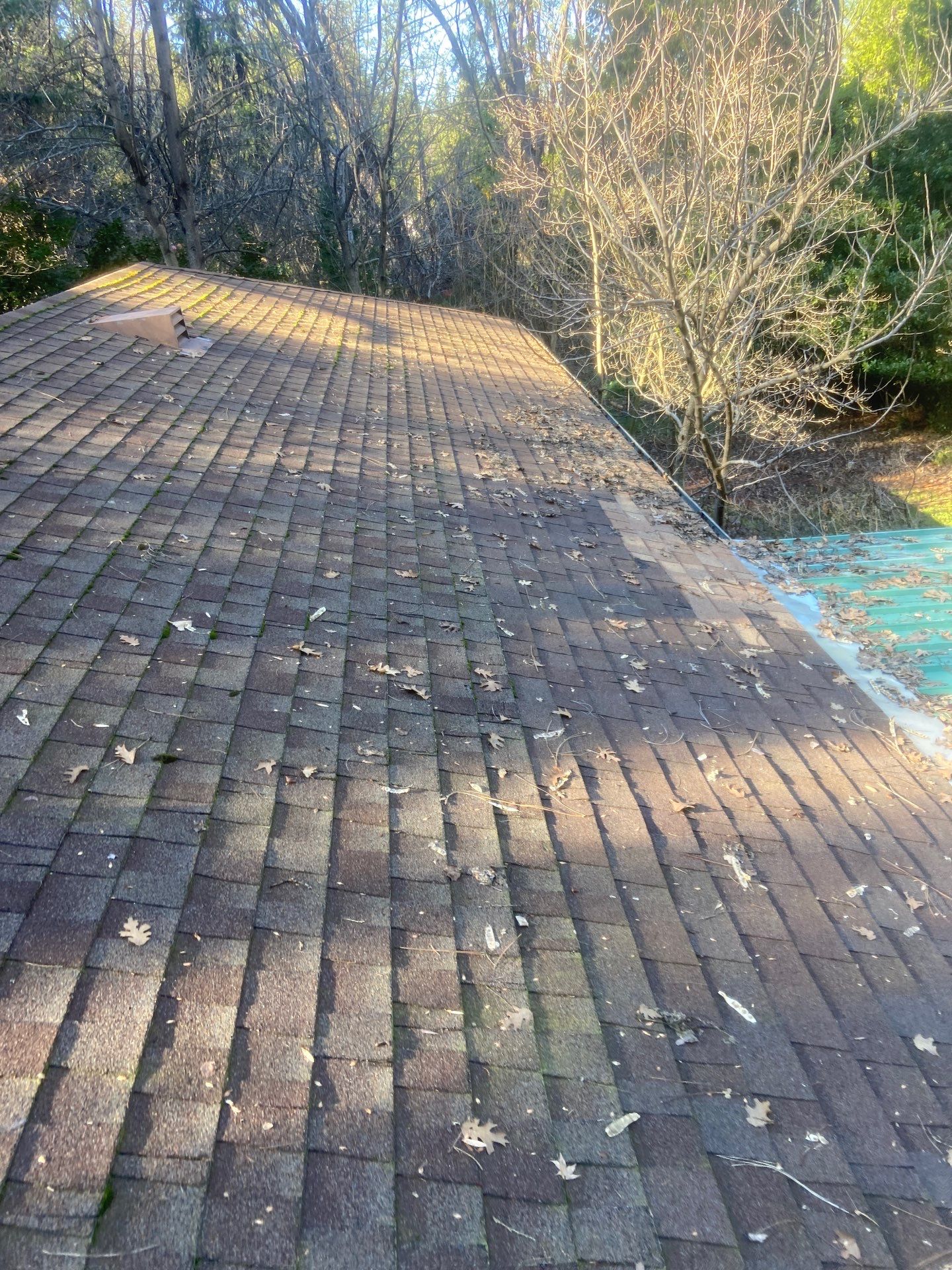 Roof Rejuvenation using Roof Maxx Treatment by Roof Maxx of Folsom