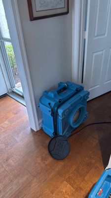 Wet Carpet Drying — Cape Coral, FL