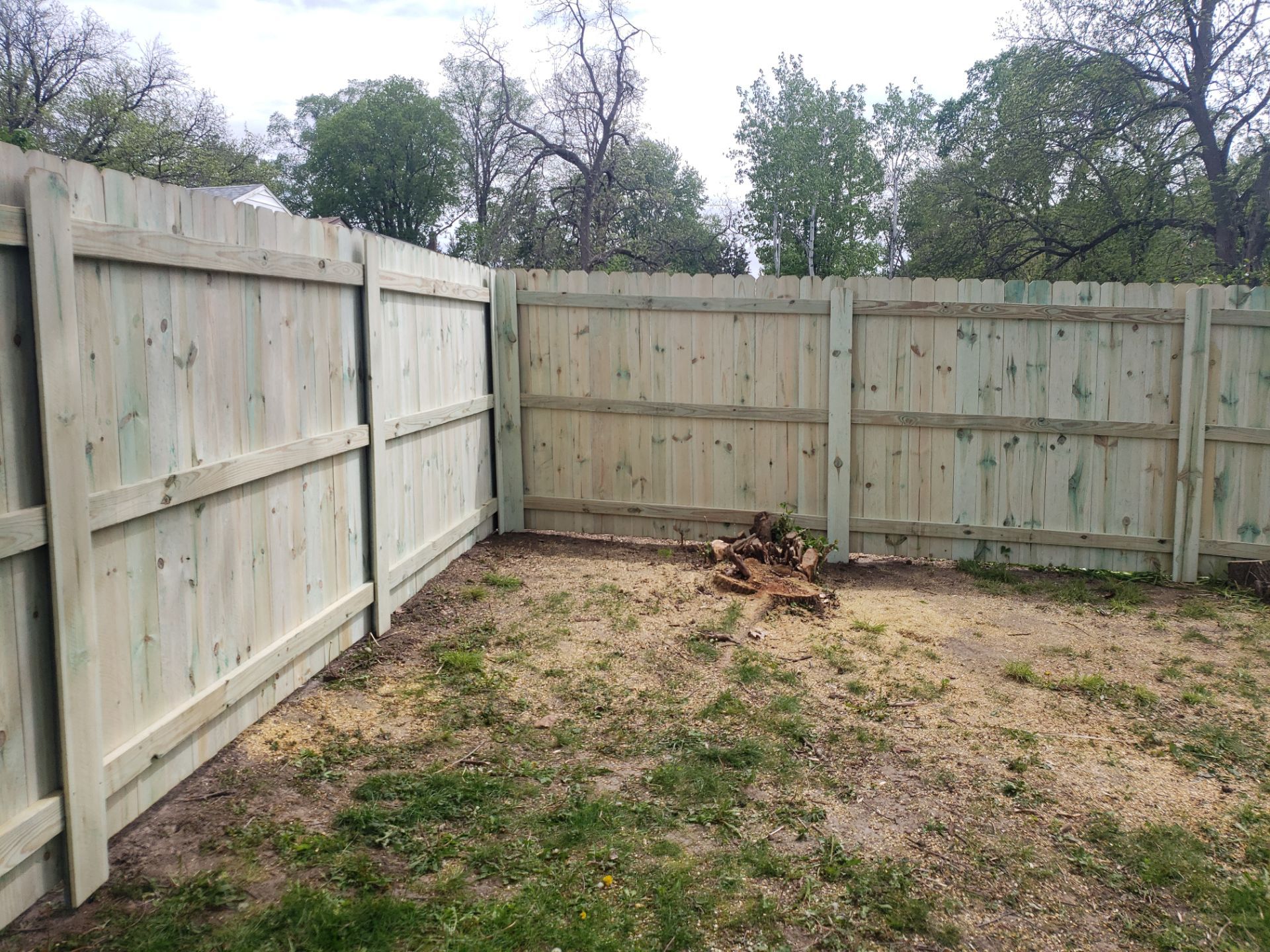 Pressure-Treated Wood Privacy Fence Installation in Waterloo by Perfect Picket Fence and Stain