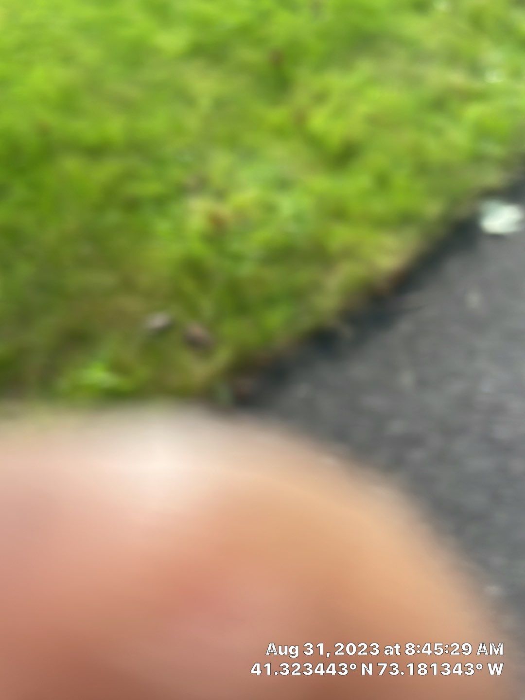 New Roofing, Siding front door by A Plus Exterior