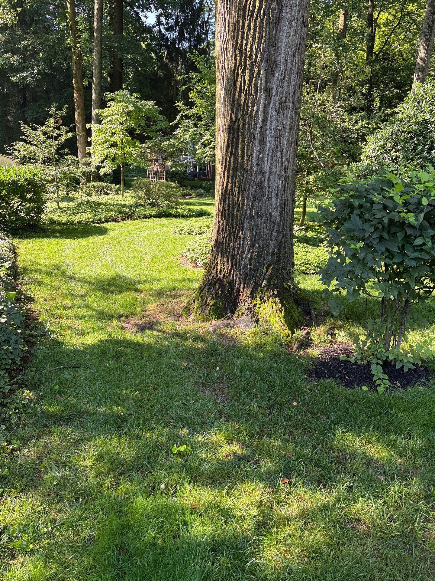 East York Pa by Go Green CLC