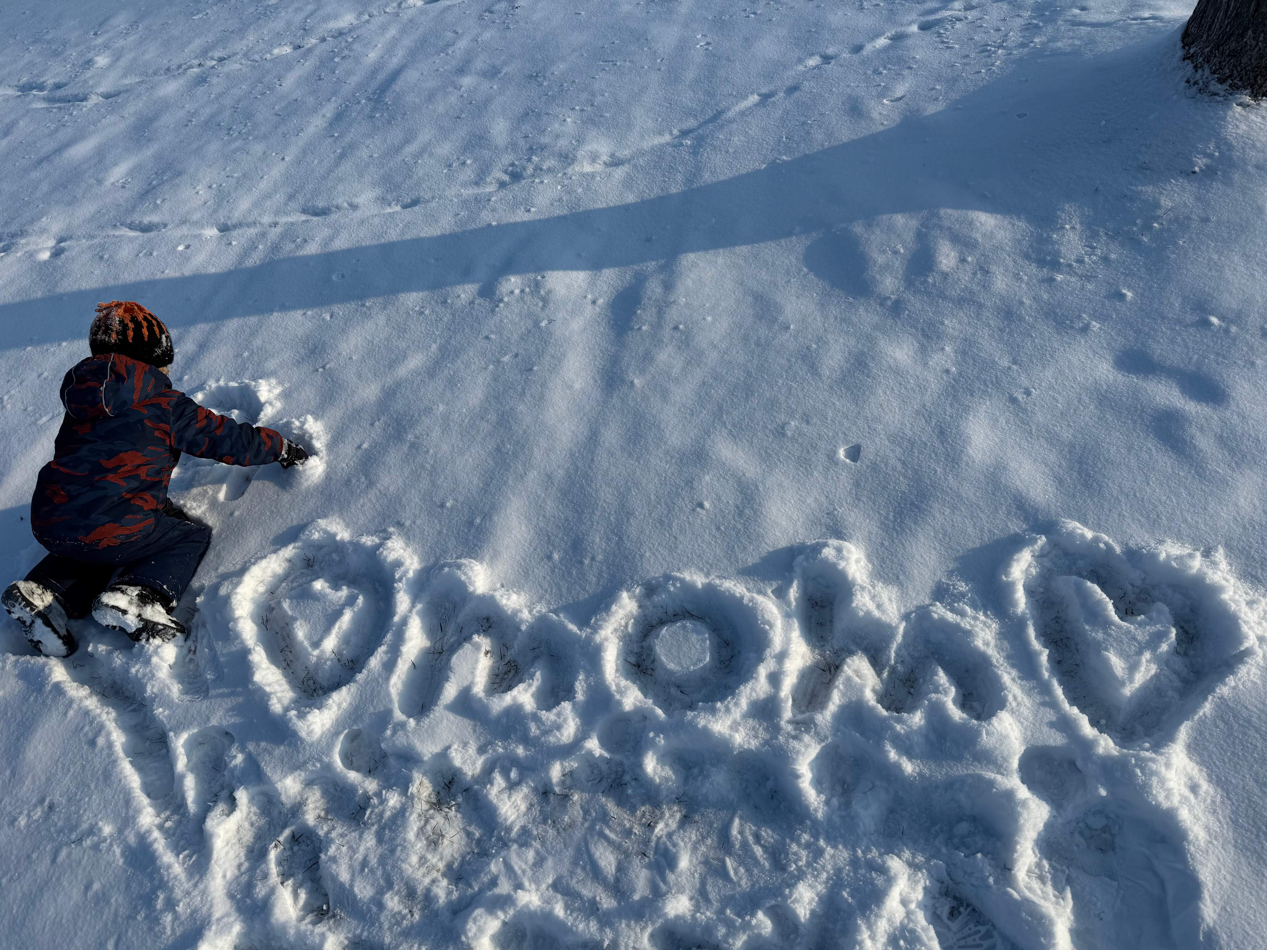 Snow Day by Portfolio Test 1 Dec 4