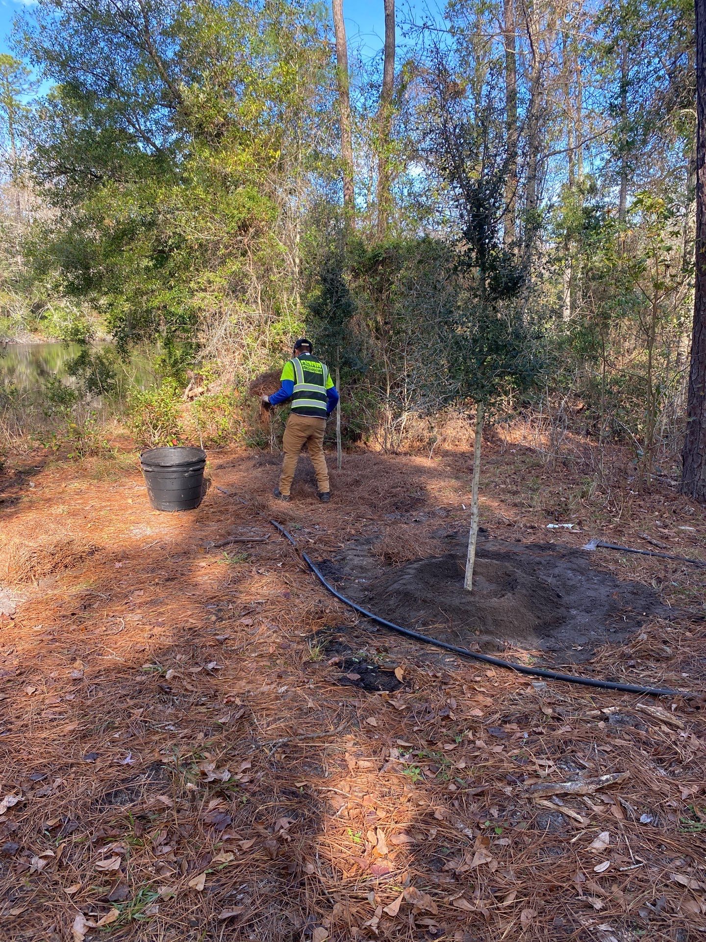 Deerwood Resident | Tree Installation by ProGreen Services