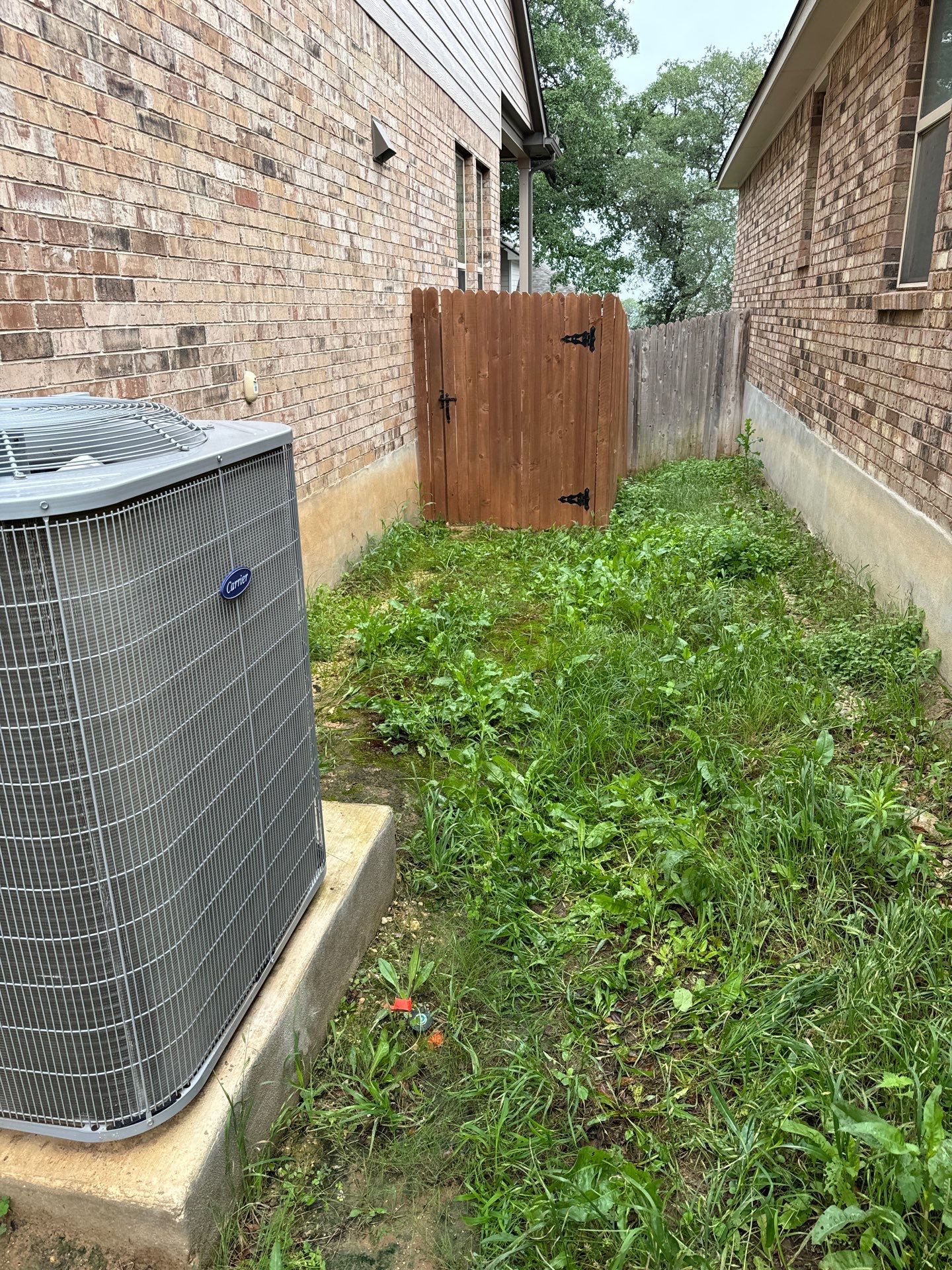 Wortham Oaks - San Antonio, TX by Hole In One Lawns, LLC