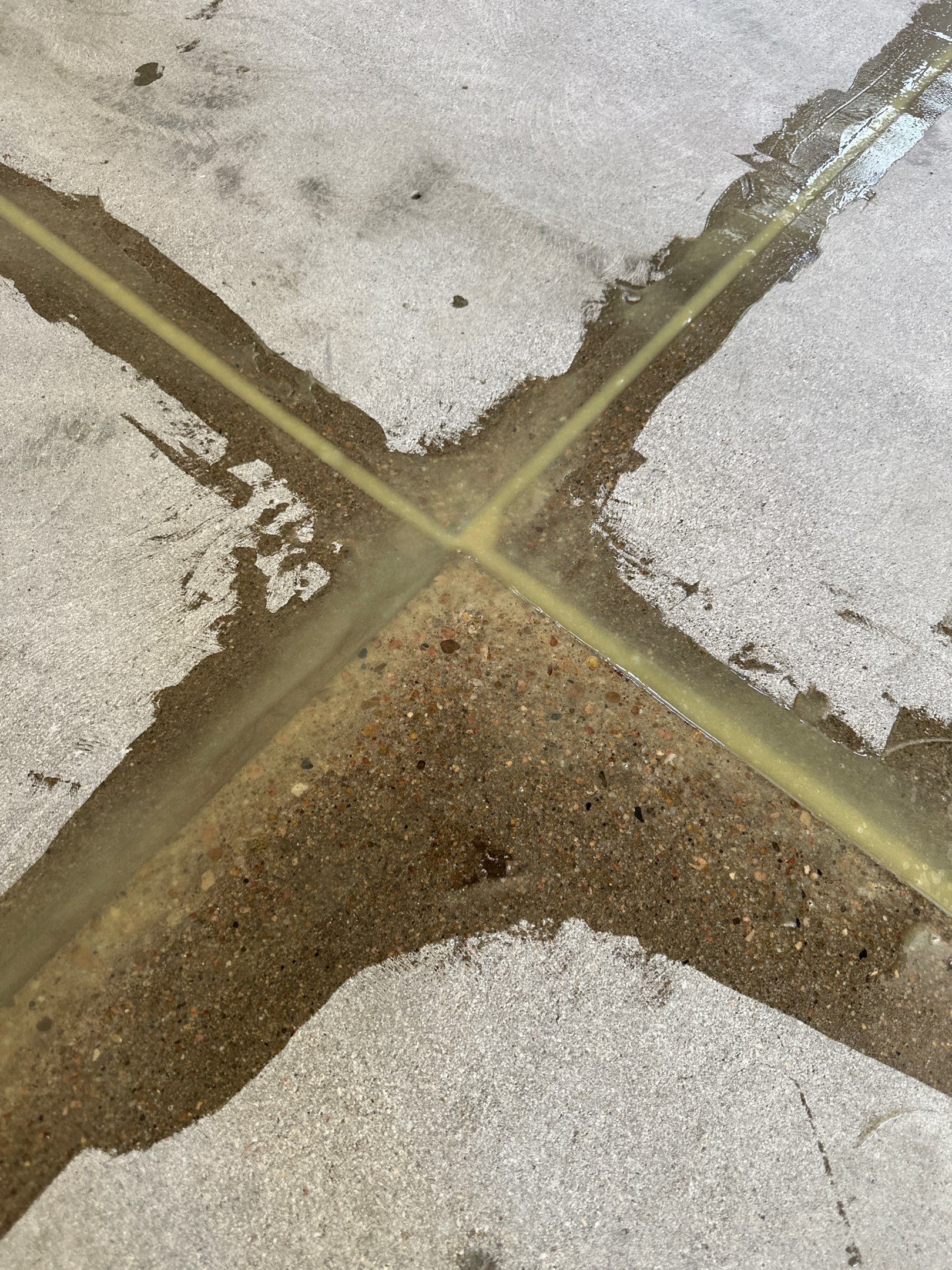 High-Gloss Metallic Epoxy Garage Floor Transformation in Lincoln by Goat Coatings