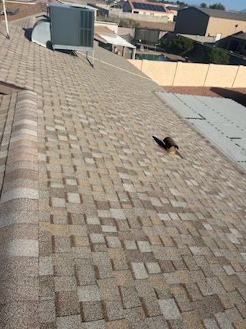 James Full Re-roof by All Storm Roofing & Construction