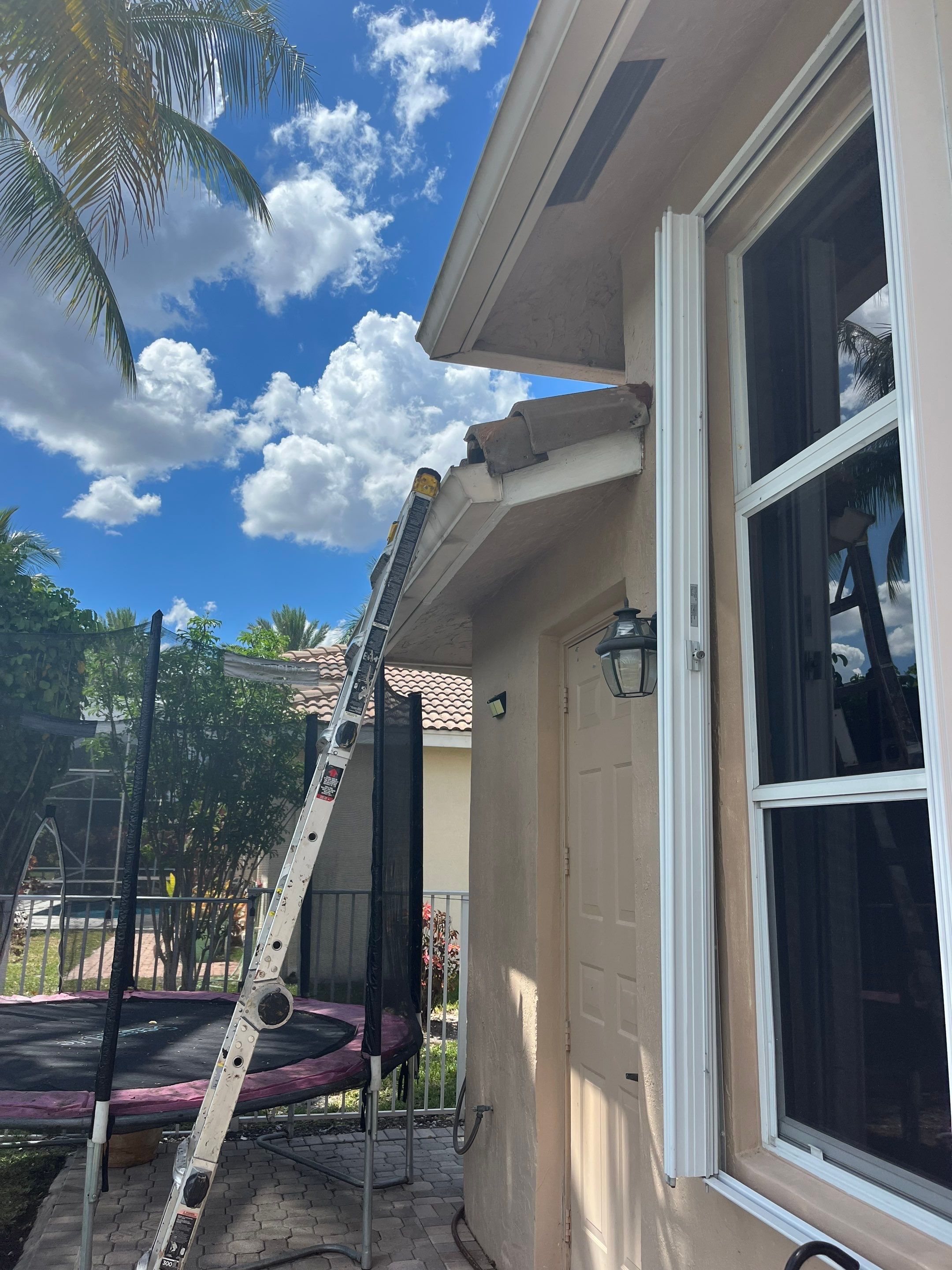 Roof repair due to bird-related damage by The Goat Contractor ( Giampri Corp)