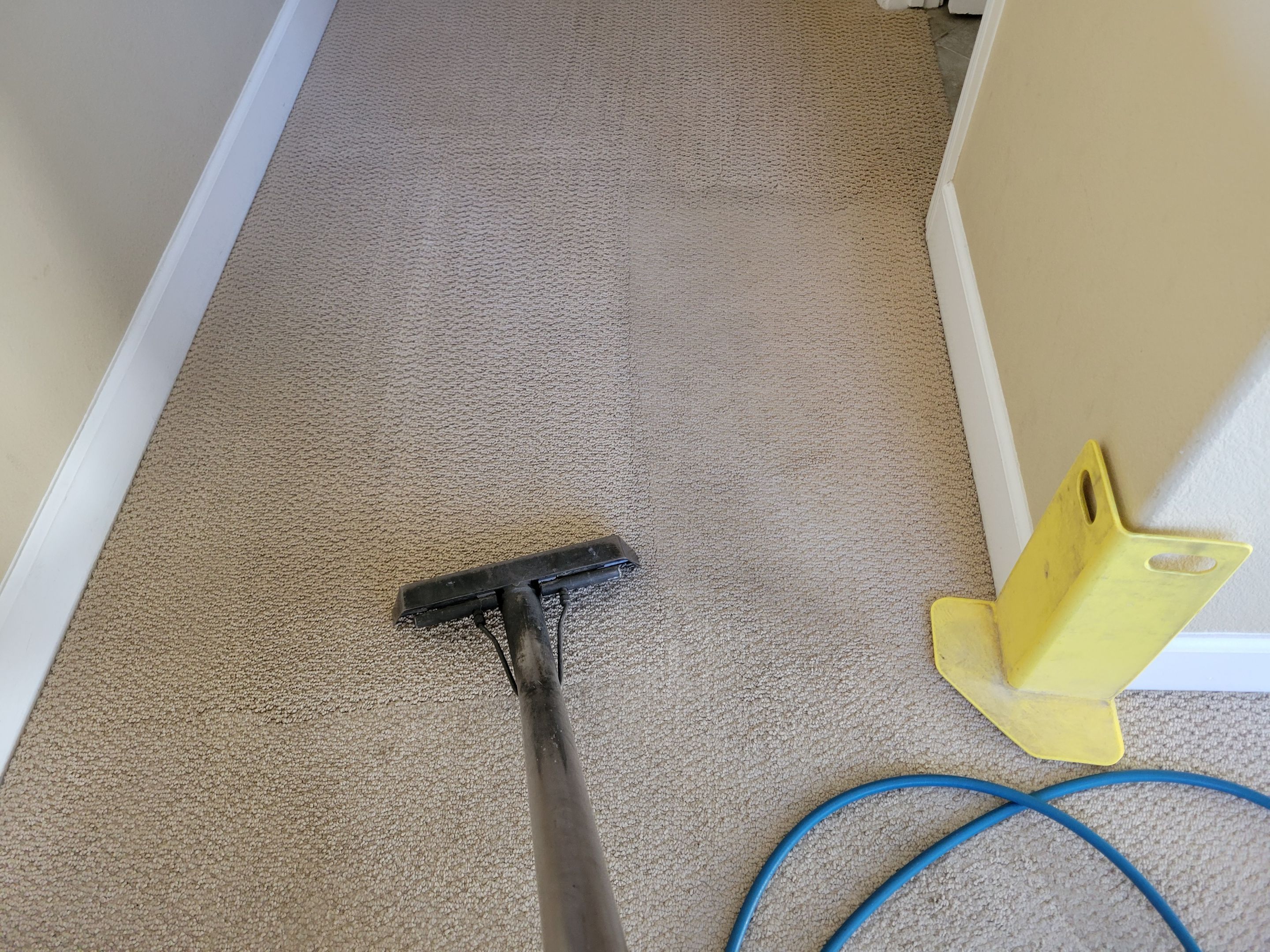 Looped-pile Carpet Cleaning by Ardent Carpet Restore LLC