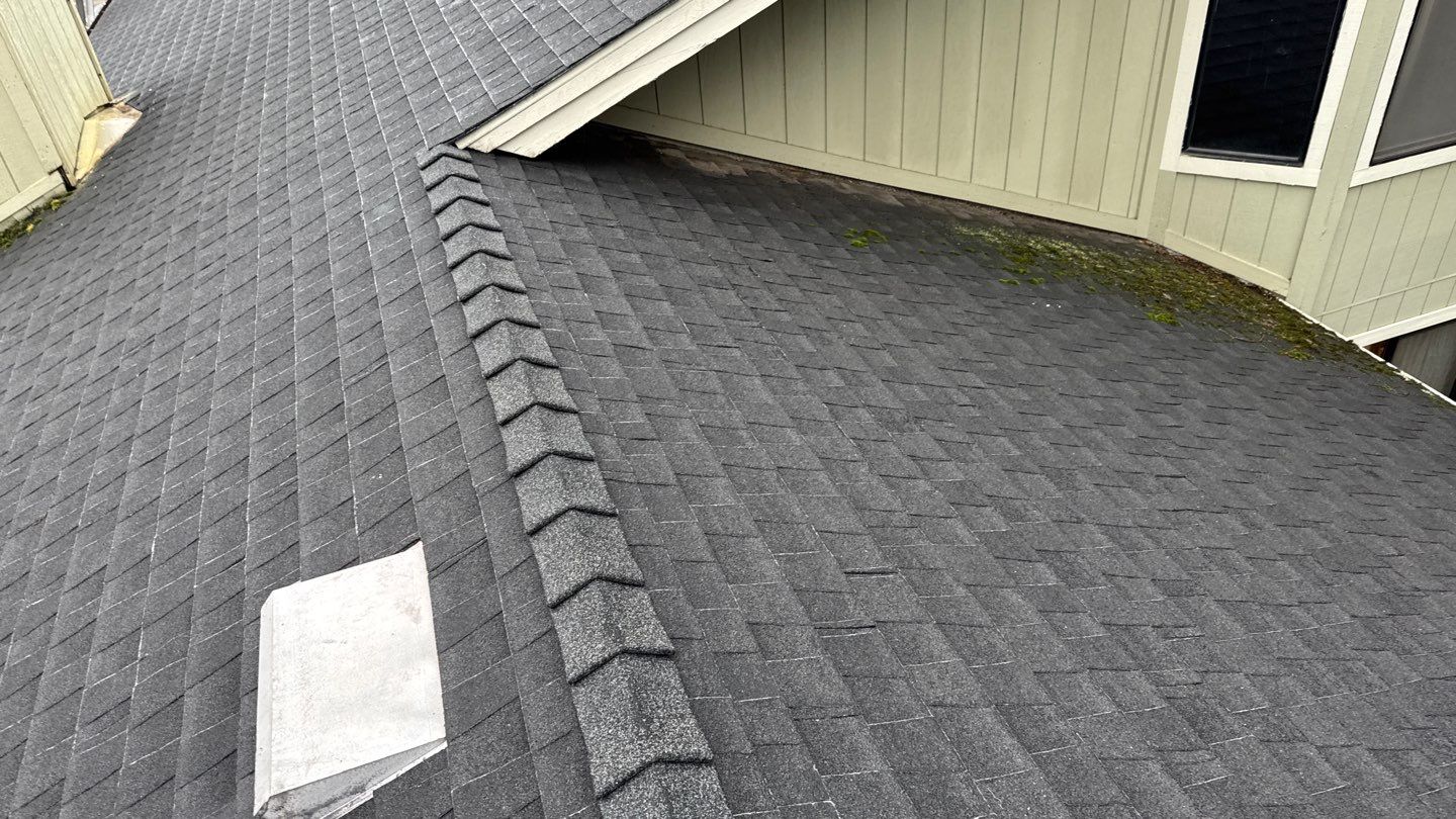 Project in Antelope by NuLead Construction Inc