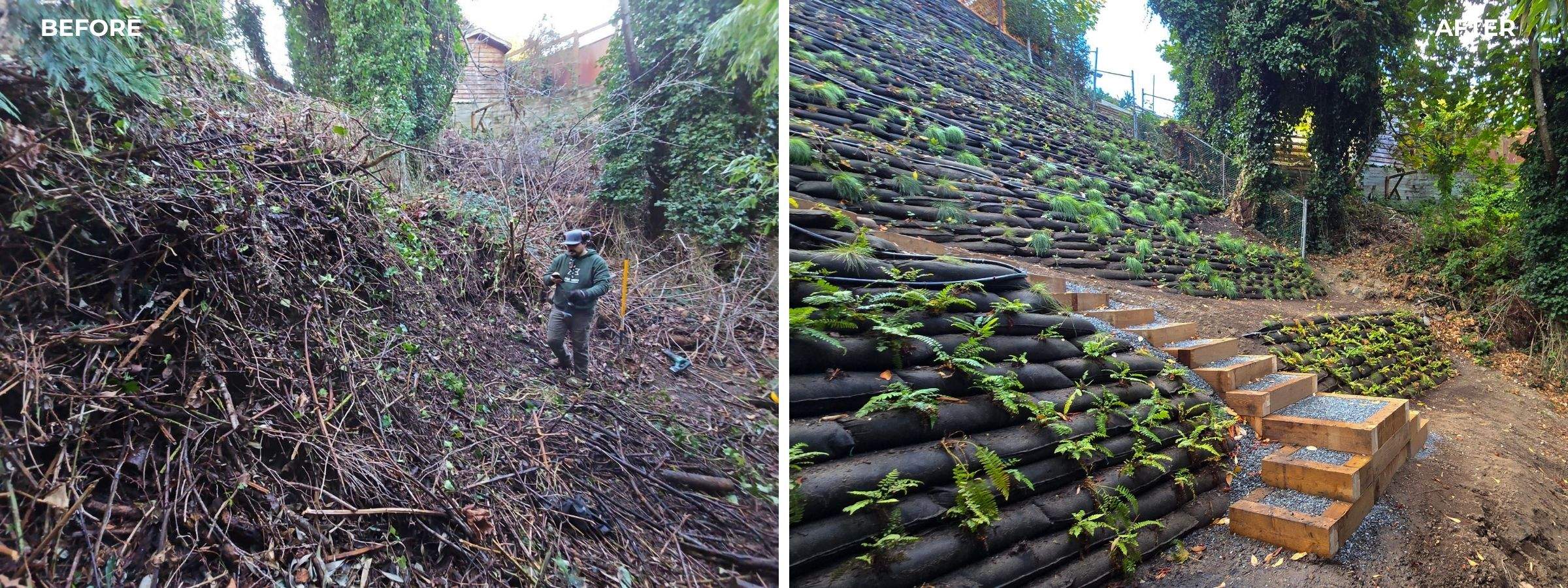 Georgia Park Terrace — Living Slope Transformation by Habanero Landscape Solutions