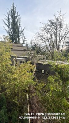 Emergency Tree Removal – Fallen Tree on Neighbor’s Home | Seattle, WA