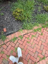 Window Cleaning in Montgomery, NJ — Gallo Bros job photo