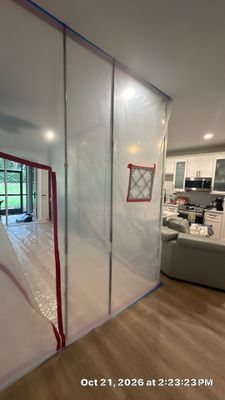 Black Mold Removal — Fort Myers, FL