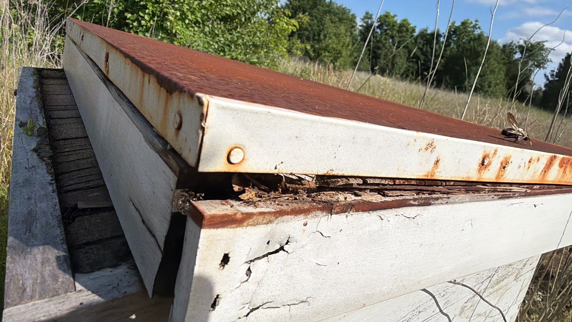 Baseball Diamond Apiary by Rockwall Honey Bee Company