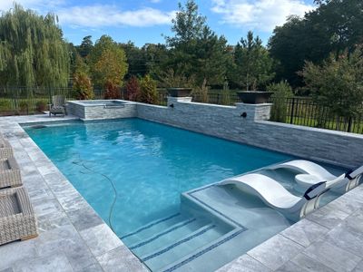 Gunite Pool w/ Spa and Water Features
