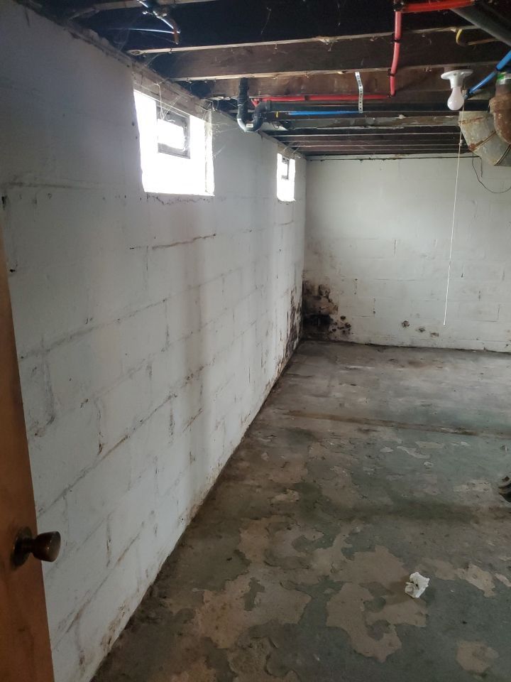 Tree Removal using Tree Removal by Mike Jones & Sons Tree Service LLC 