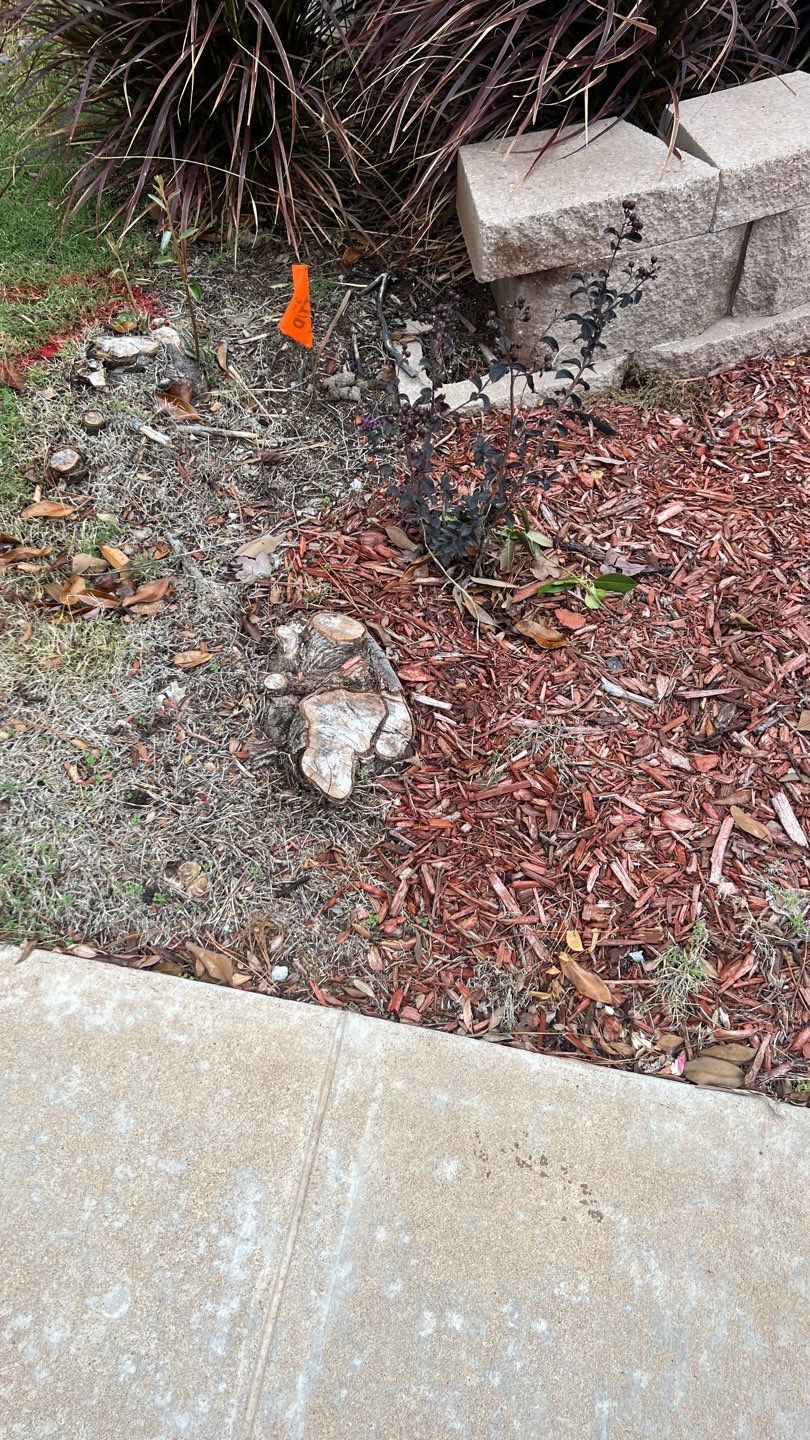Landscape  by Clays Services Inc