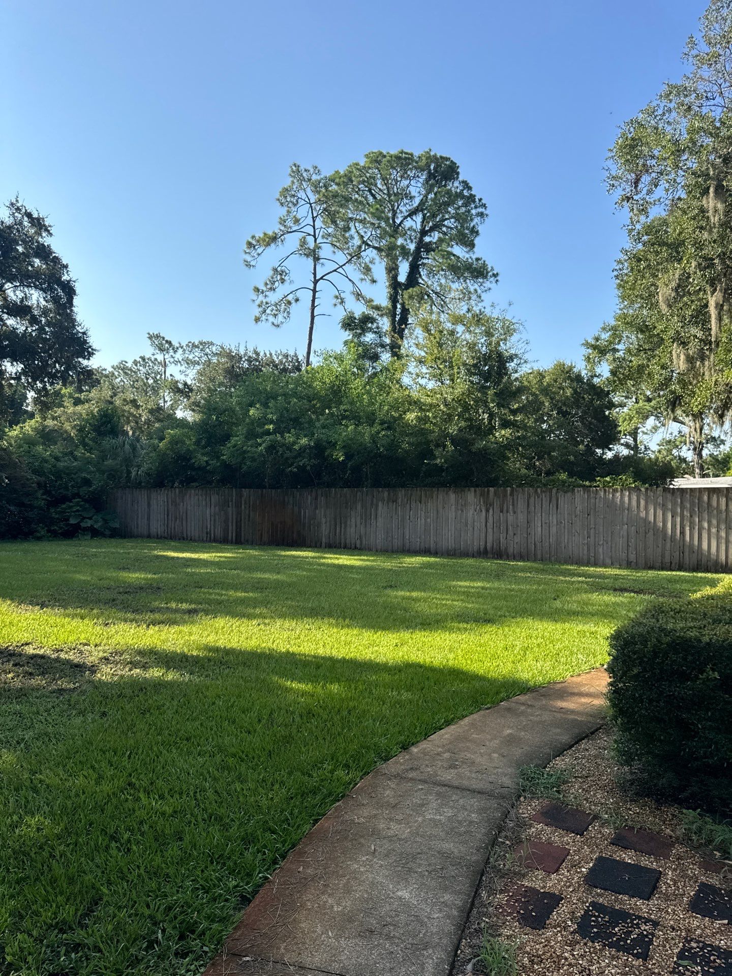 Residential | Tree Trimming  by ProGreen Services
