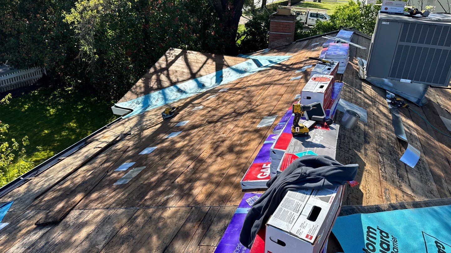 Willa Holmstock by NuLead Construction Inc