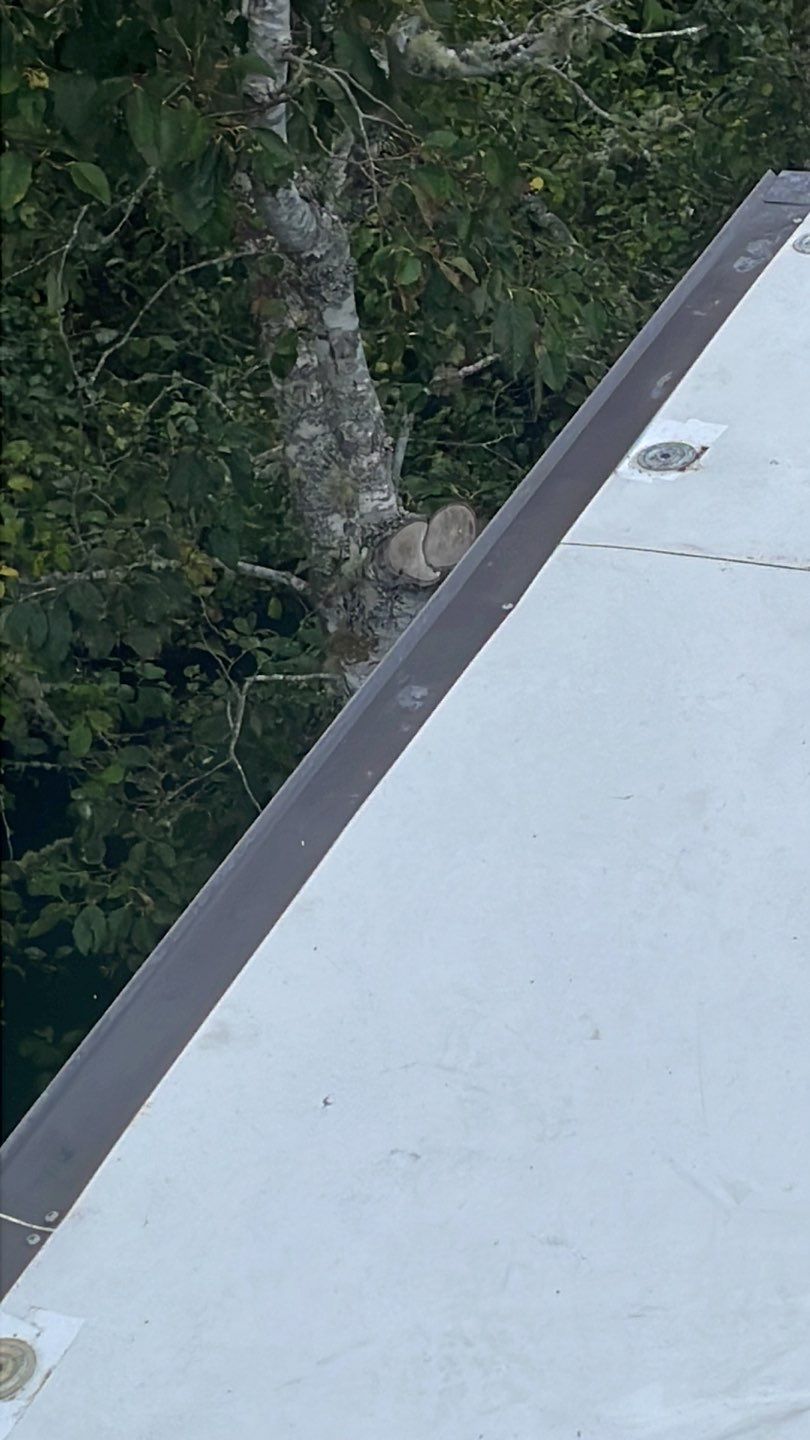 Commercial Roofing Installation using GAF 60Mil TPO  by Orezona Building & Roofing Company, Inc.