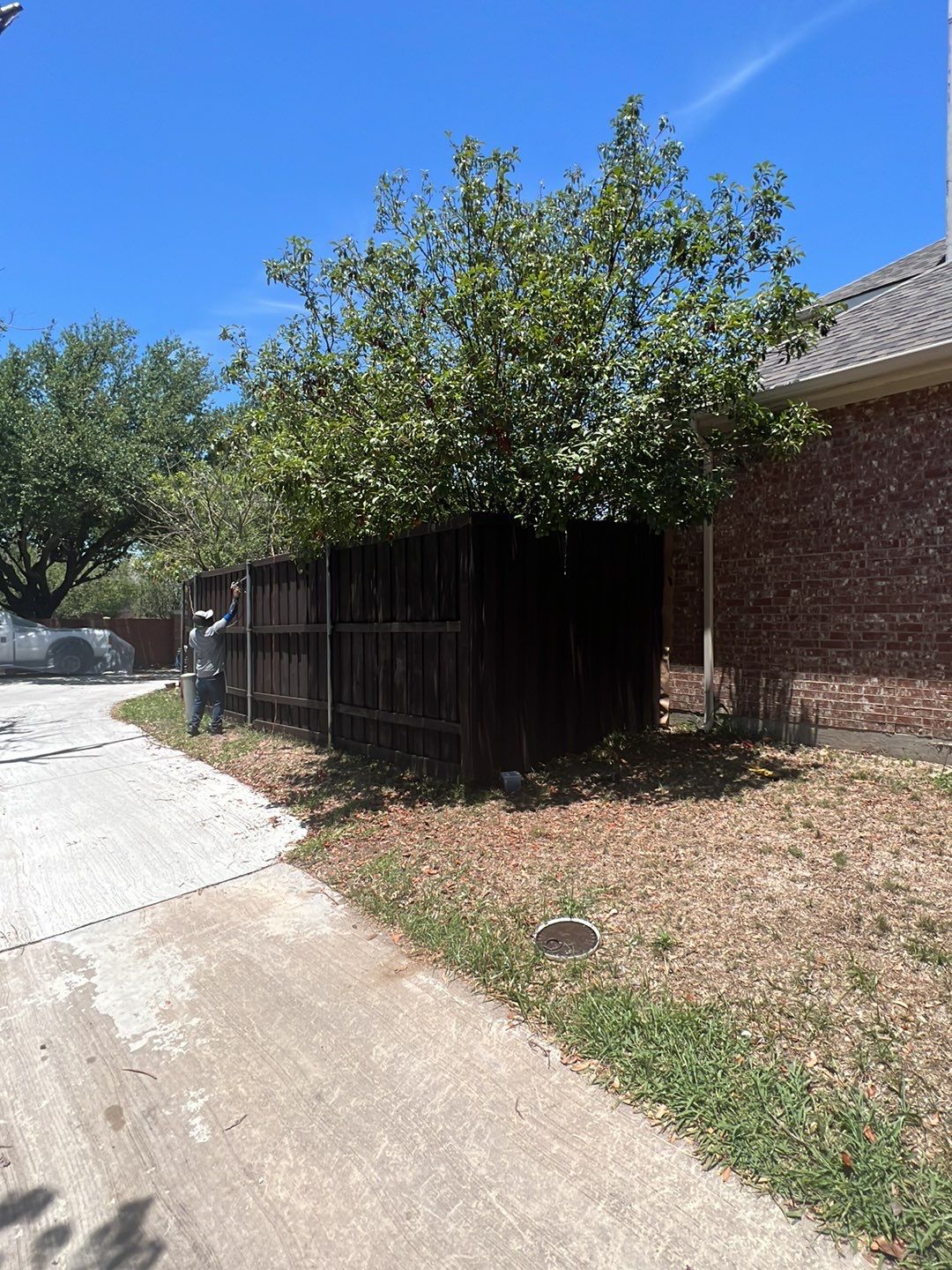 Project in Plano by Armor Roofing | Exteriors