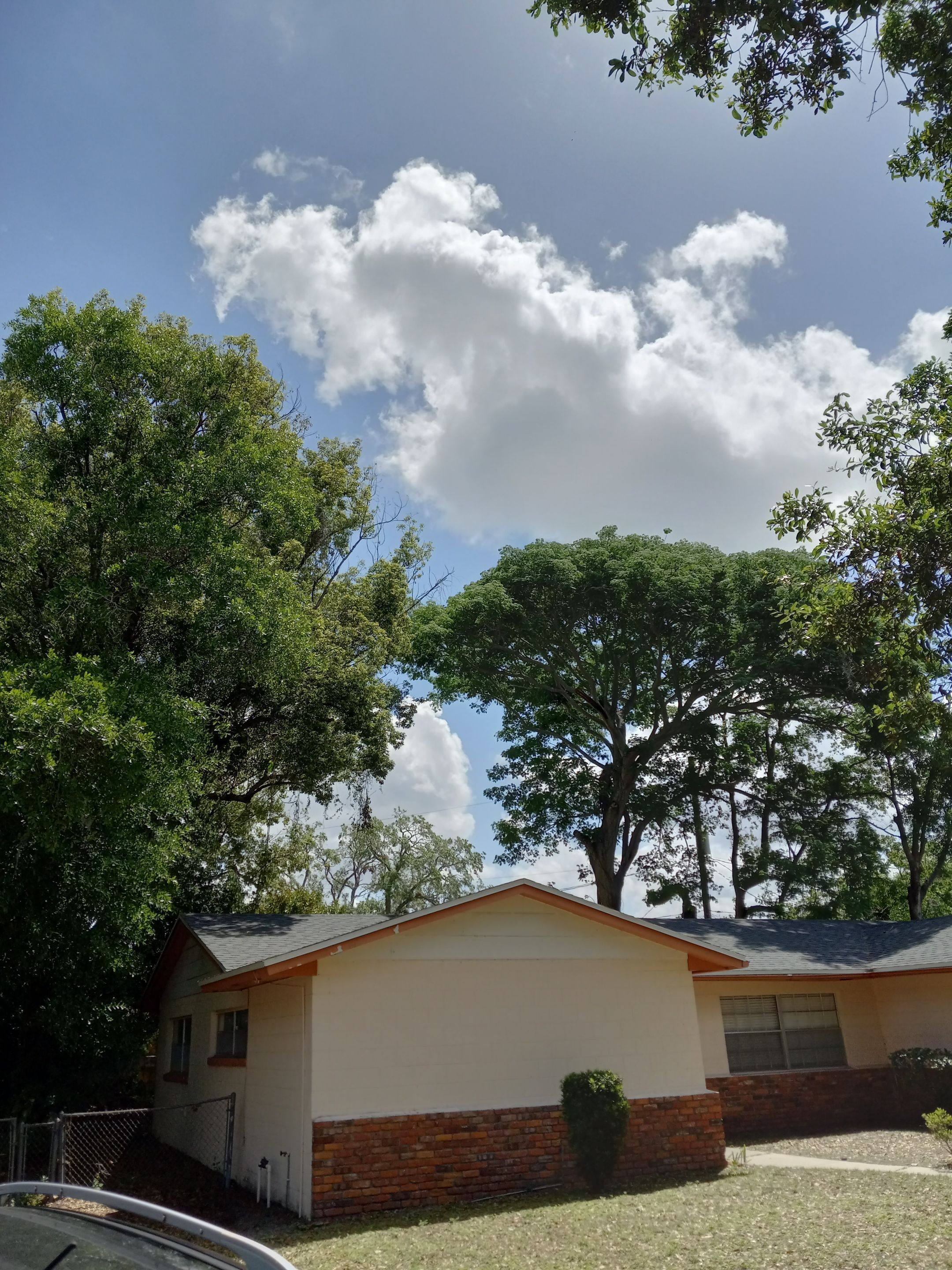 Shingle Reroof Replacement Orlando FL by Pinnacle Roofing Group