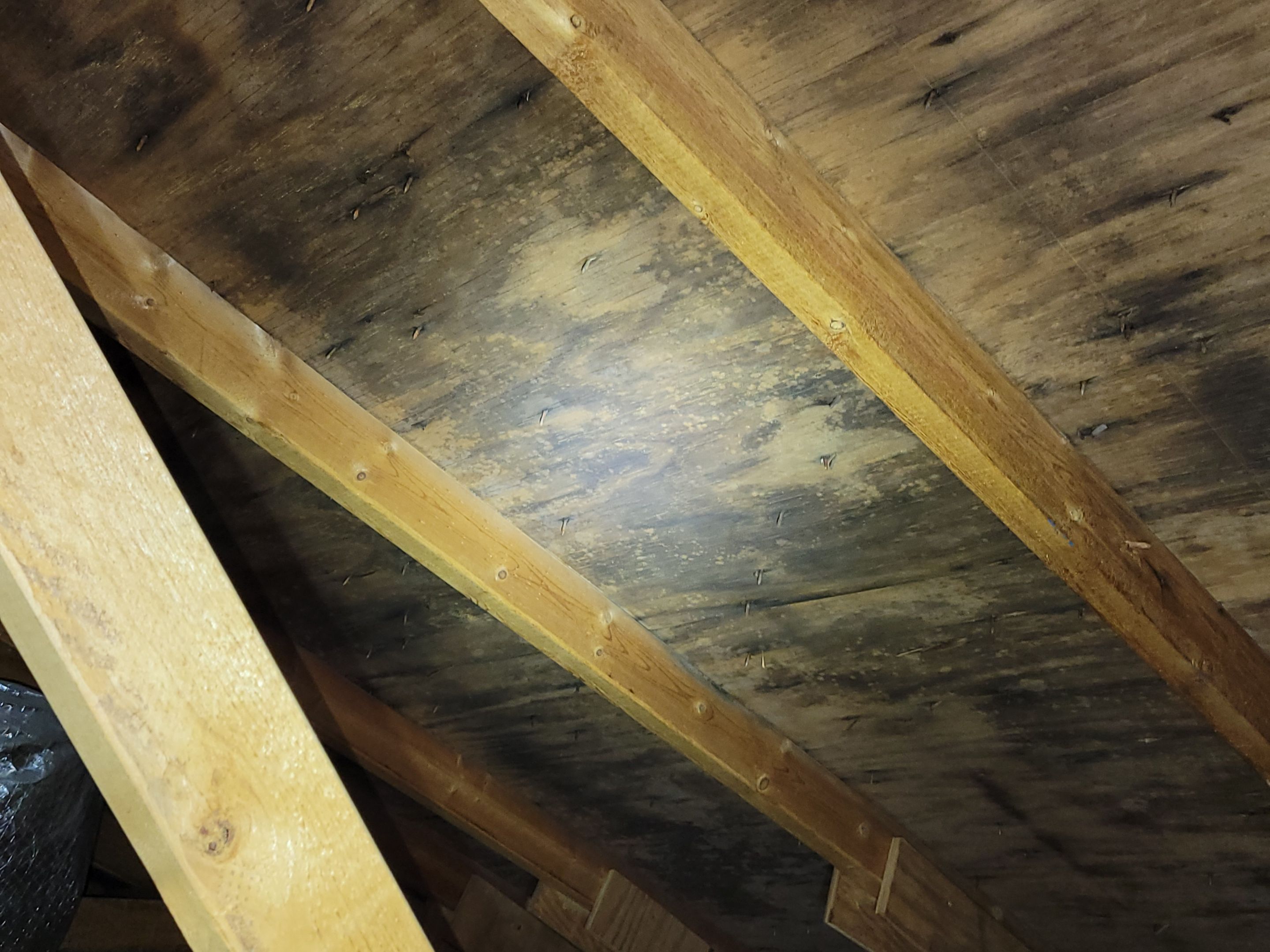 Attic Mold Remediation by Chicagoland Water Medics