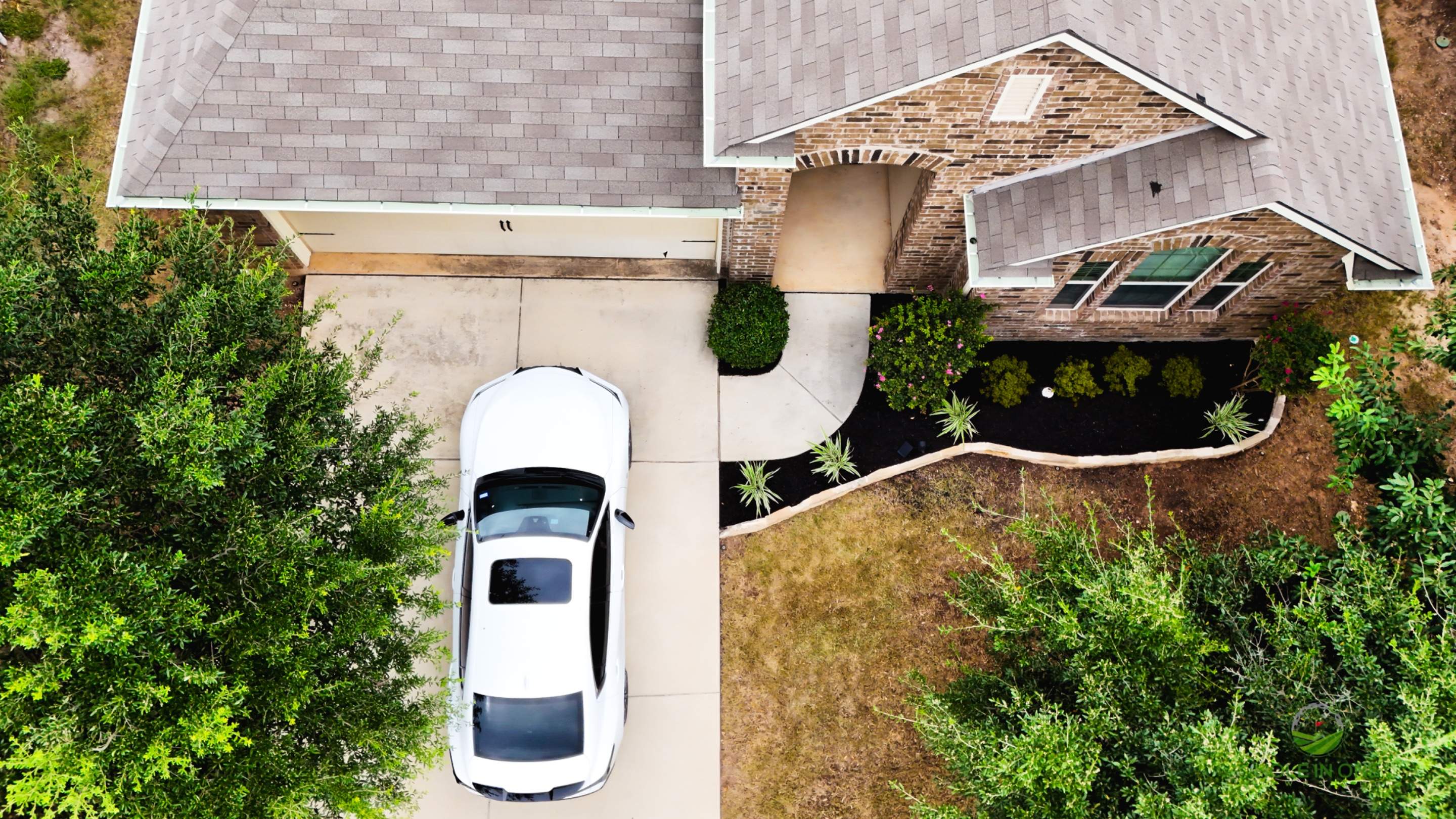 Wortham Oak, San Antonio Tx. by Hole In One Lawns, LLC