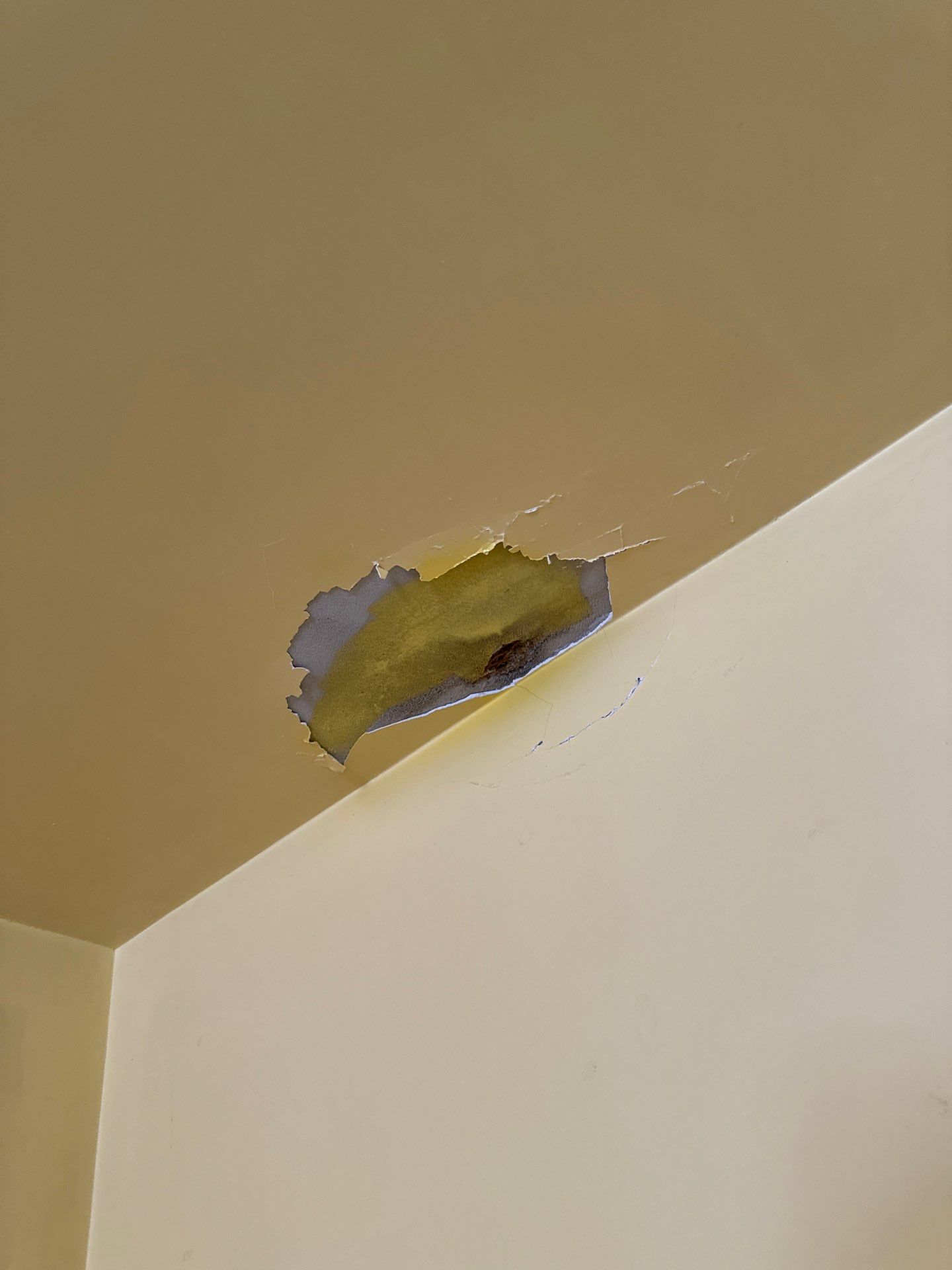 Drywall repairs/ family room by Gordon Painting