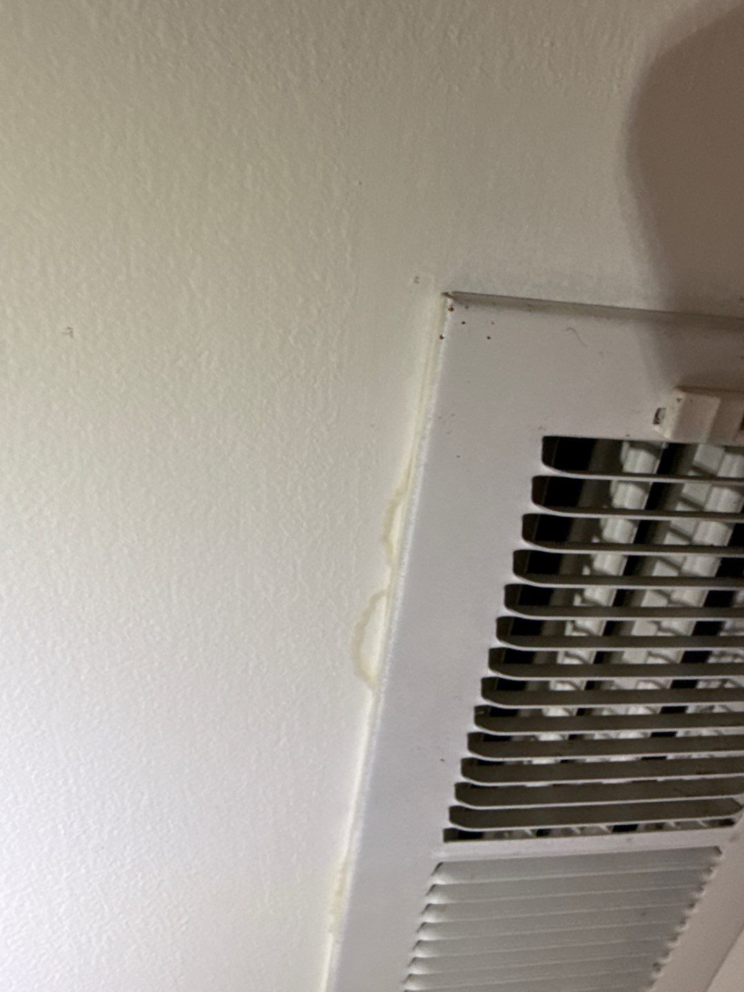 Mold in Air Ducts Remediation by Healthy Home Solutions