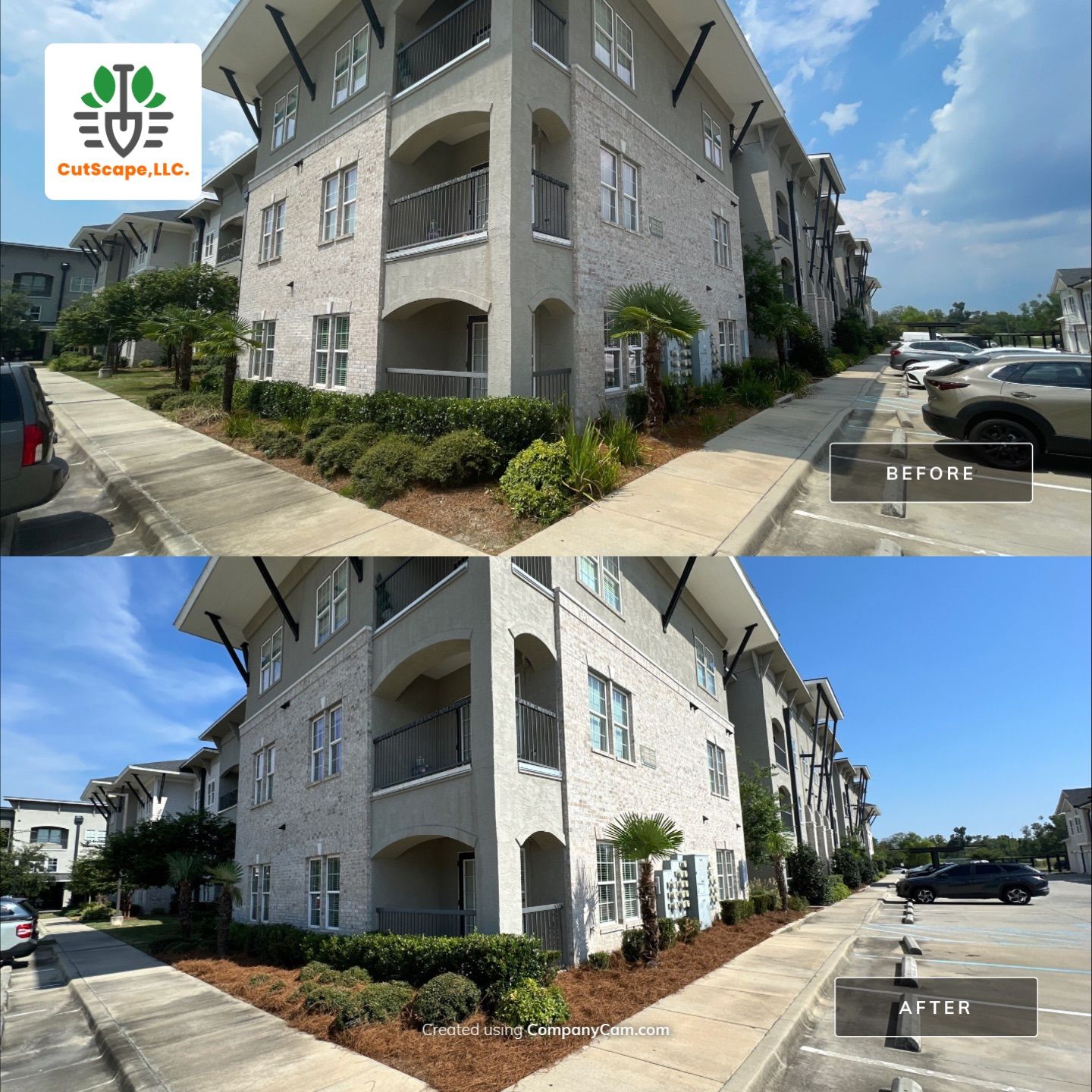 MULTI FAMILY PROPERTY: HEDGE TRIM / BED CLEAN by CutScape, LLC.