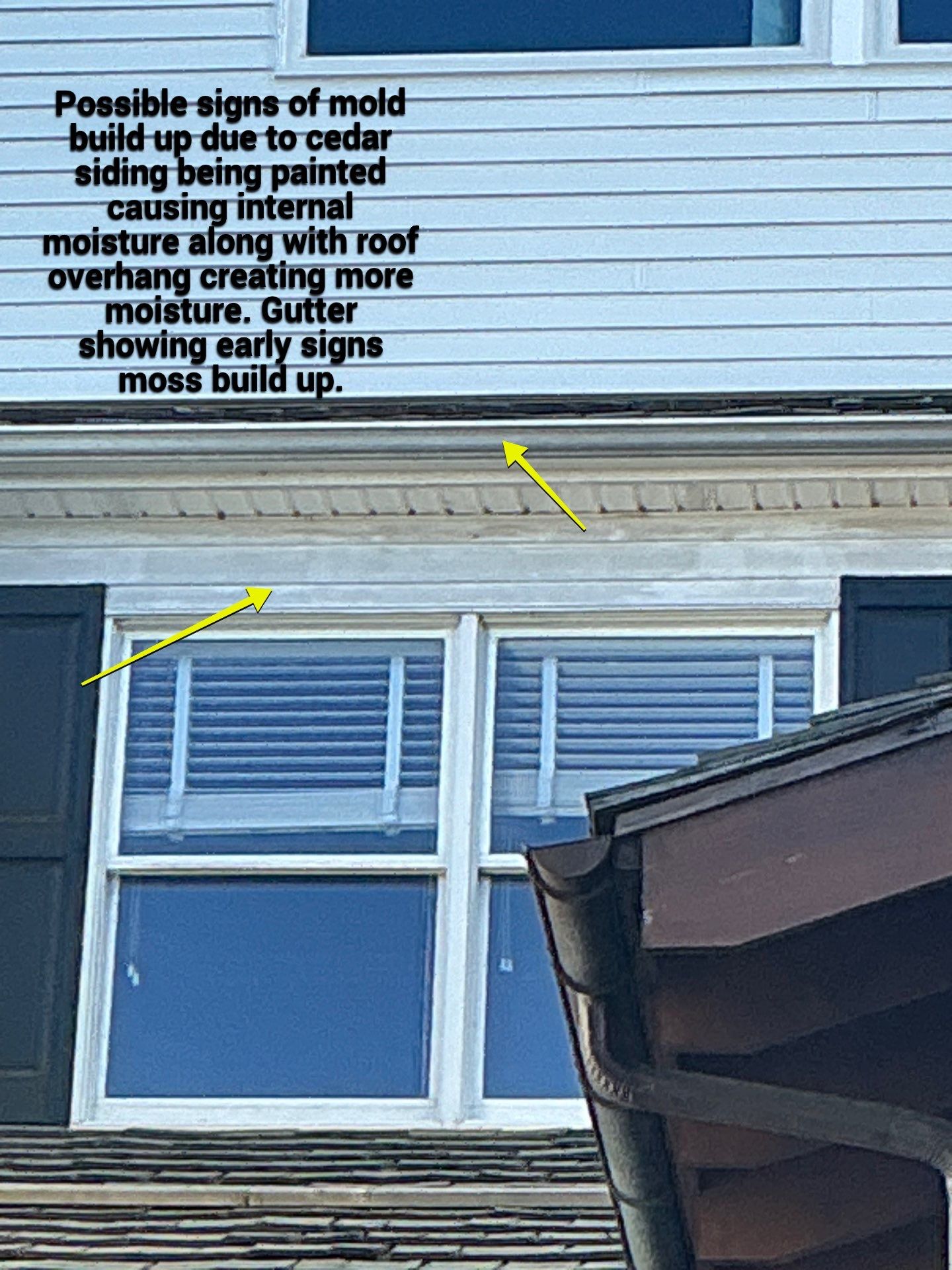 Johanna's Home in Newtown by Window Guardians