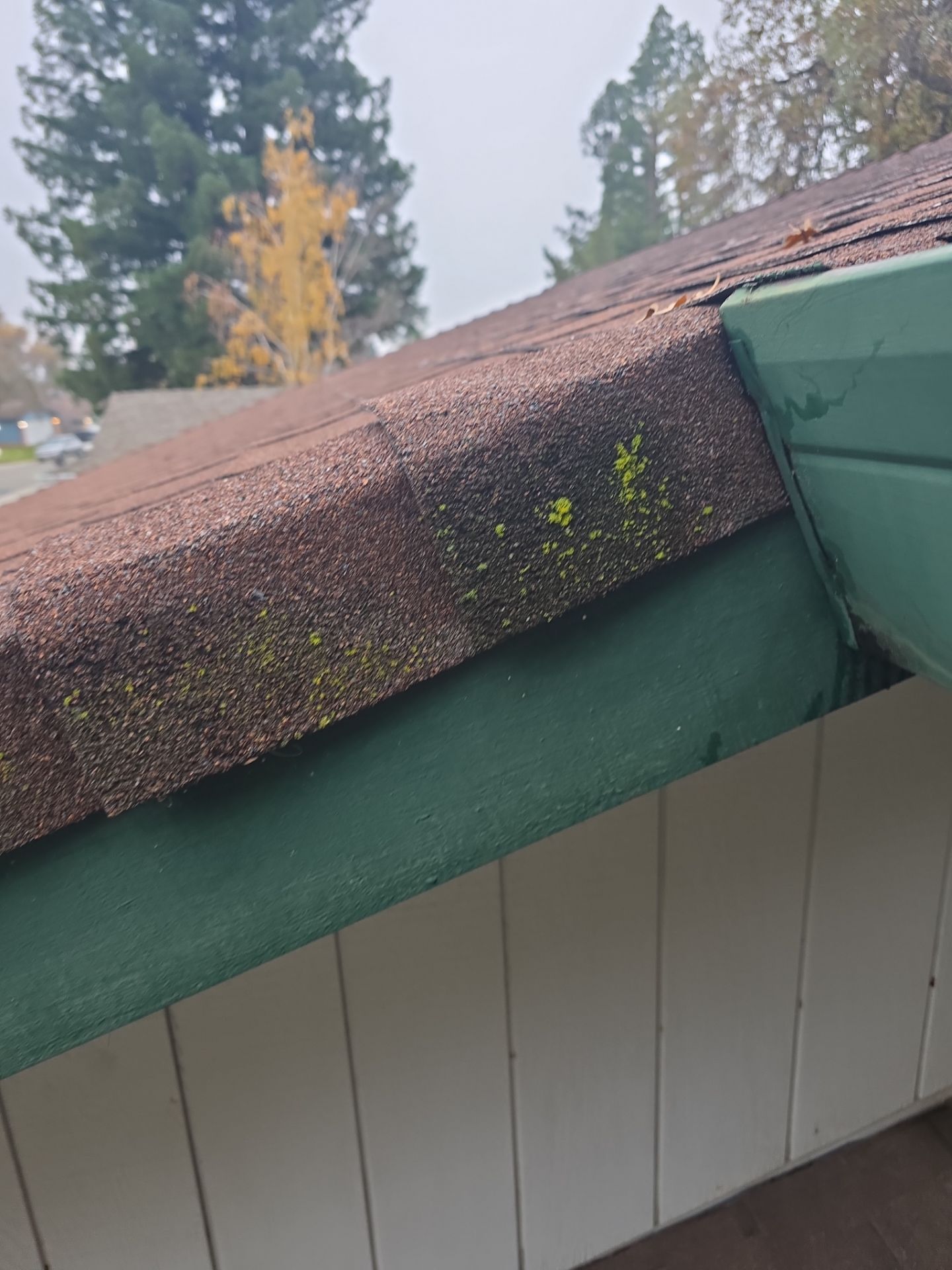 Roof Rejuvenation using Roof Maxx Treatment by Roof Maxx of Folsom