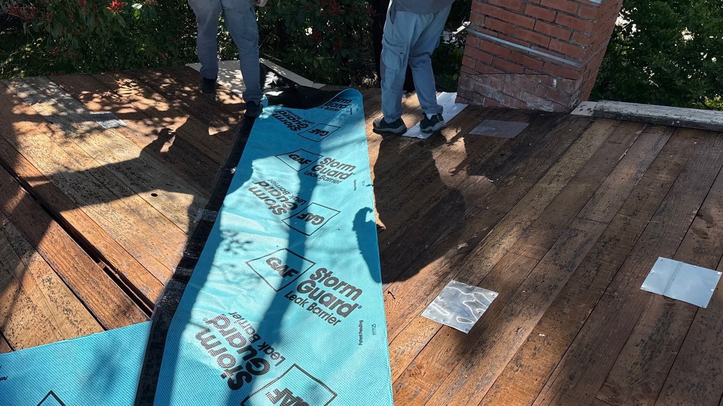 Willa Holmstock by NuLead Construction Inc