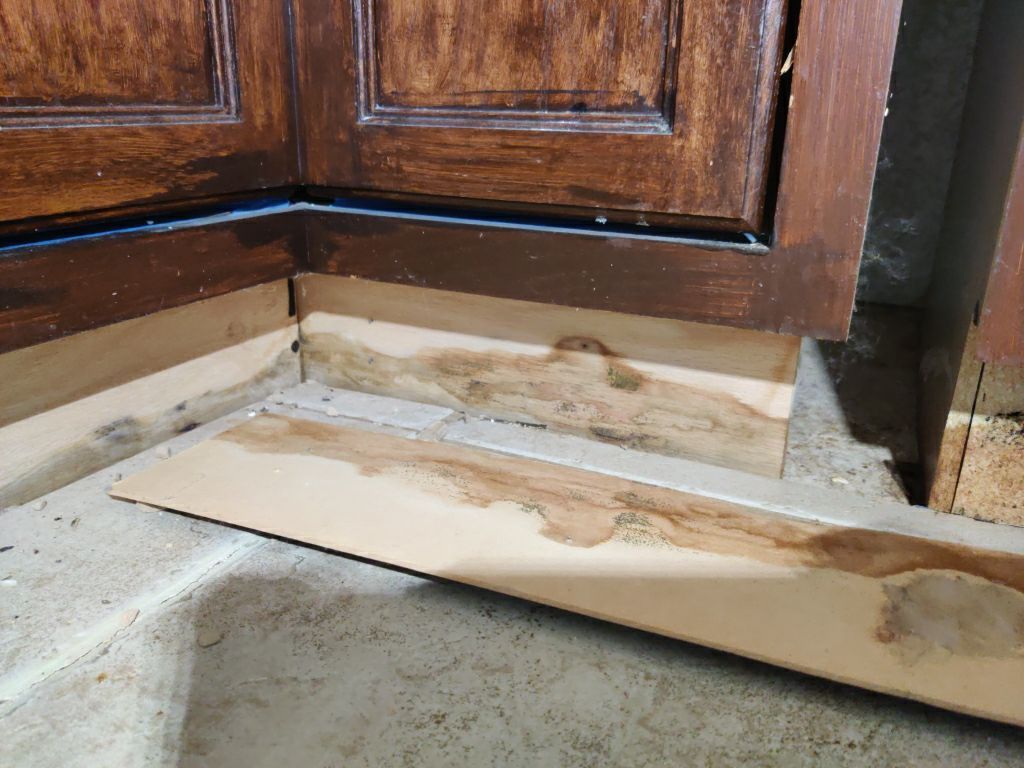 Mold Remediation in Kitchen by Accountable Home Services