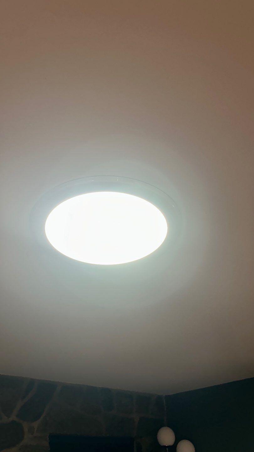 Fairfax Station: Multi-Trade Tree Damage Restoration by RM Banning, Inc.