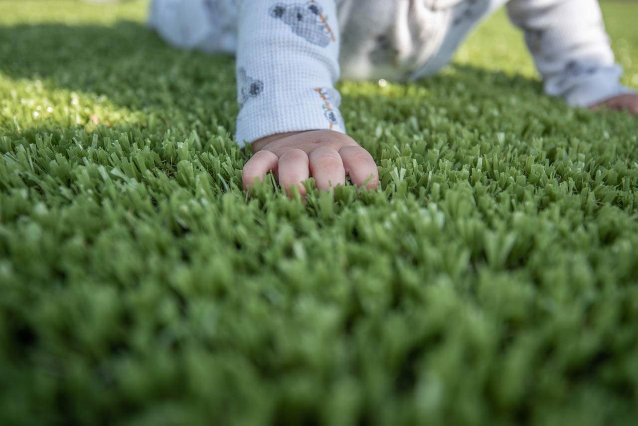 Taylors Dream Boundless Park by ForeverLawn NEIN/INDY