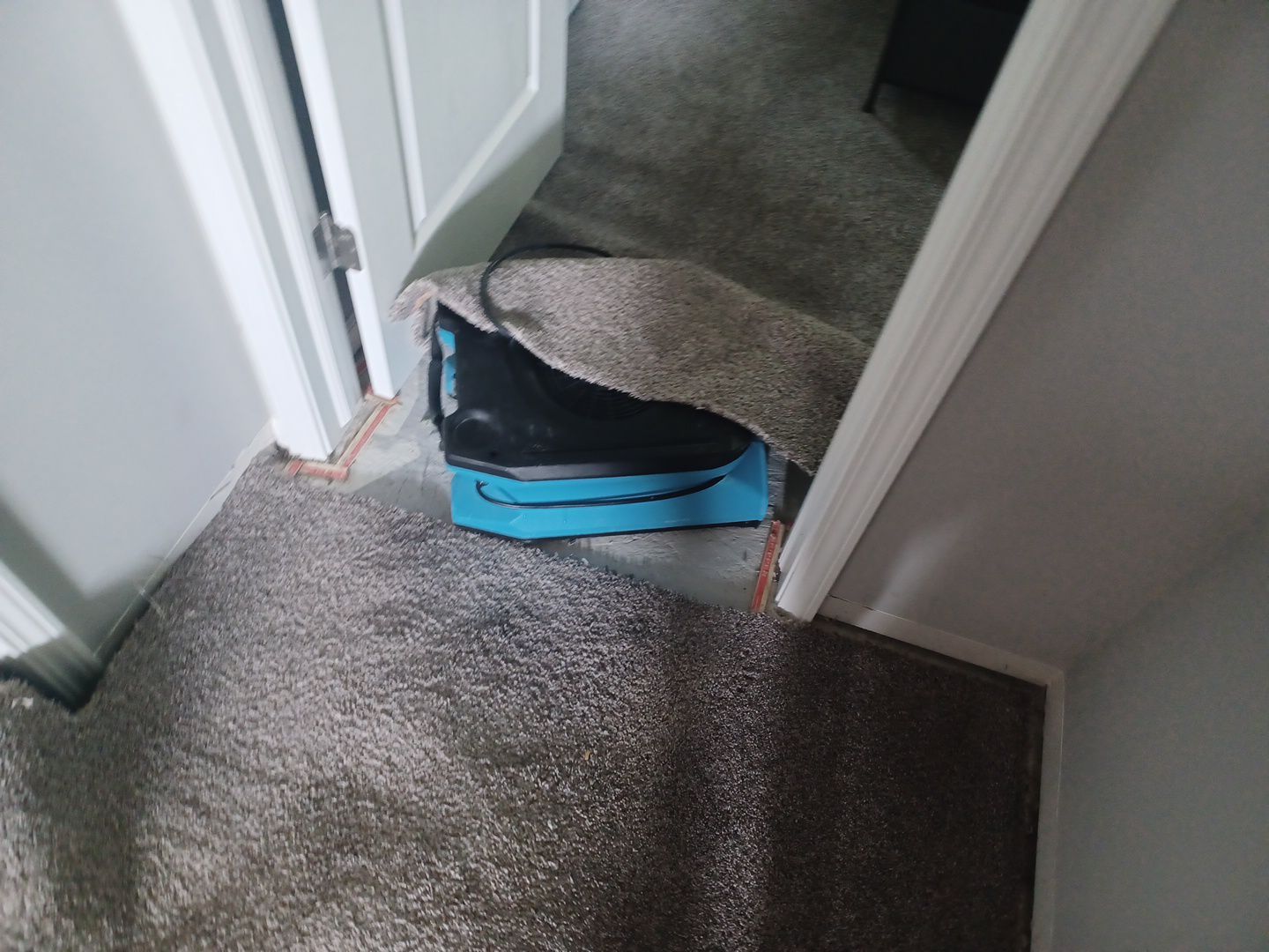 Project in Chesterfield by EzDry Water Mitigation & Property Restoration