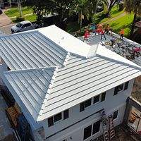 24ga 1" Nail-Strip Mill Finish by Total Roofing System The Metal Roof Experts