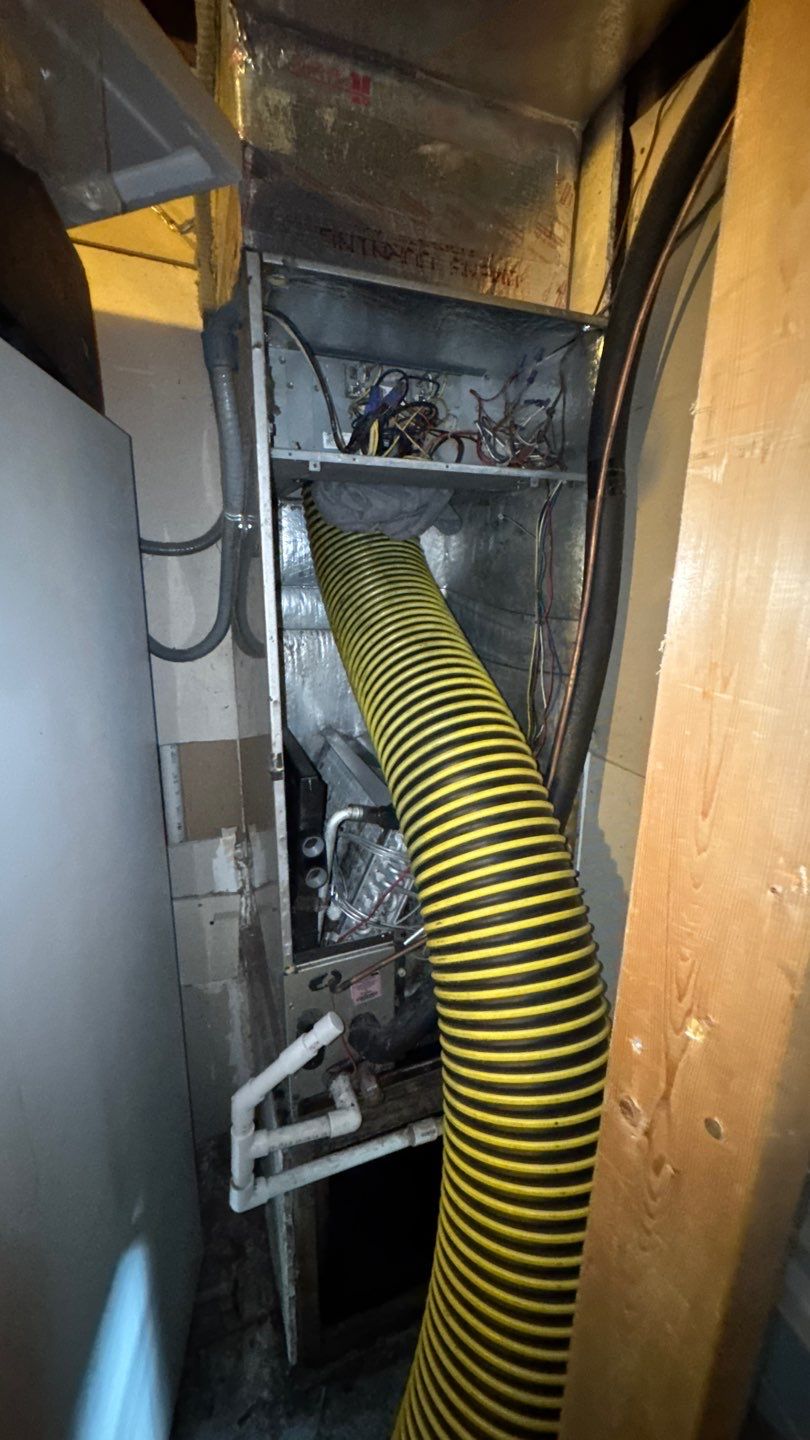 Extremely Dirty Air Duct Cleaning in Fruitland Park by Hygienic Air, Inc